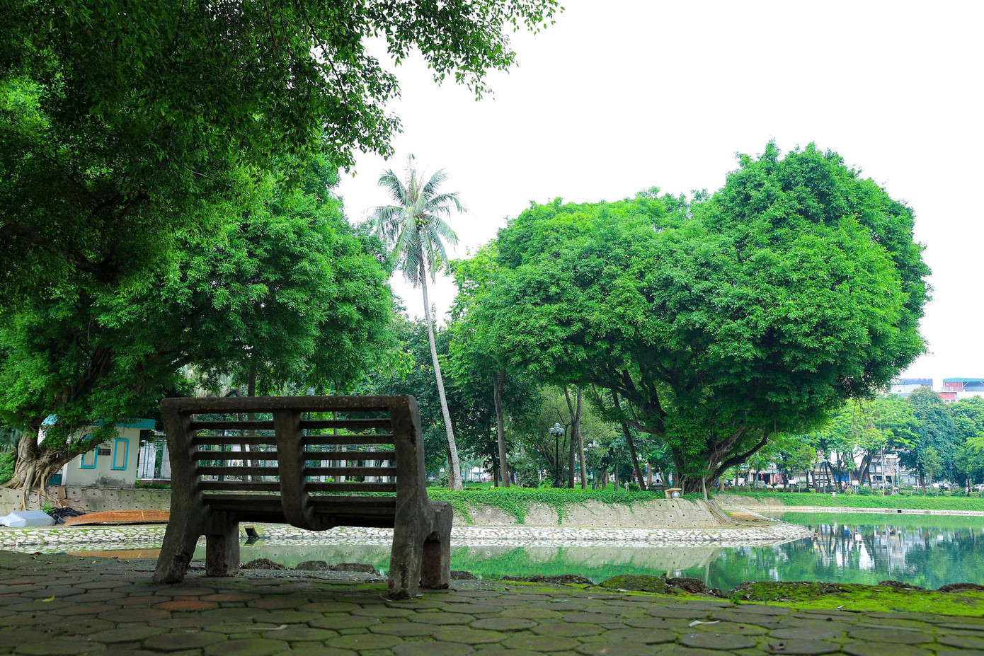 Công viên Thống Nhất đang dần khoác lên mình một diện mạo mới, hiện đại hơn nhưng vẫn gìn giữ được nét cổ kính, thanh bình. Hiện tại toàn bộ hàng rào công viên đã được thay thế bằng các thảm hoa, cây xanh tạo không gian mở thân thiện.