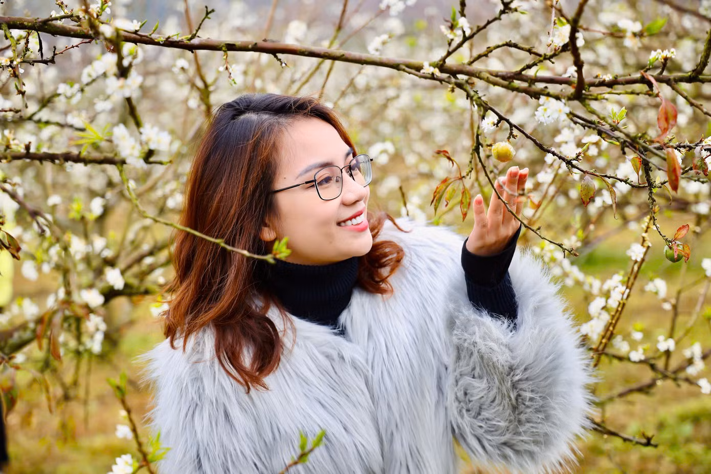 Chị Thu Hà (ở quận Đống Đa, Hà Nội) cùng gia đình và bạn bè vượt quãng đường gần 200km lên thung lũng mận Bảo Bảo cho biết: "Năm nào mình cũng lựa chọn mùa hoa mận nở đẹp nhất để lên đường, vì hoa mận chỉ nở rộ trong thời gian ngắn nên vẫn cố gắng sắp xếp công việc để đi du xuân, đắm mình trong những cánh rừng mận trắng muốt ngắm hoa mận bung nở và thưởng thức những trái mận đầu mùa là những trải nghiệm khó quên". Chị Thu Hà (ở quận Đống Đa, Hà Nội) cùng gia đình và bạn bè vượt quãng đường gần 200km lên thung lũng mận Bảo Bảo cho biết: "Năm nào mình cũng lựa chọn mùa hoa mận nở đẹp nhất để lên đường, vì hoa mận chỉ nở rộ trong thời gian ngắn nên vẫn cố gắng sắp xếp công việc để đi du xuân, đắm mình trong những cánh rừng mận trắng muốt ngắm hoa mận bung nở và thưởng thức những trái mận đầu mùa là những trải nghiệm khó quên".