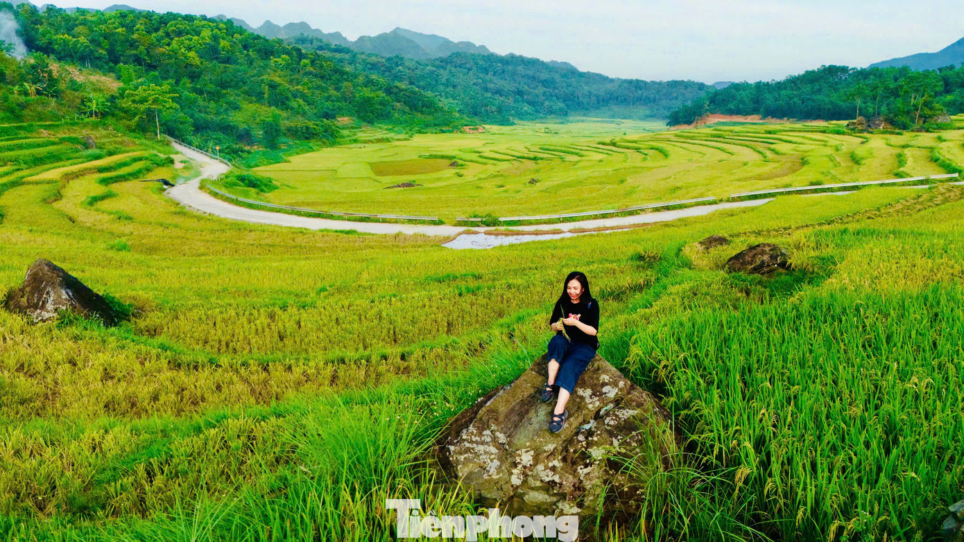 Bạn Minh Nhật du khách đến từ Hà Nội cho biết: "Tranh thủ lúa đang vào mùa chín rộ, mình cùng nhóm bạn tranh thủ làm 1 chuyến phượt đến Pù Luông ngắm lúa và chụp hình “sống ảo”. Mặc dù đang vào hè nhưng thời tiết tại Pù Luông không quá nóng, lý tưởng cho mọi hoạt động, vừa có thể thả bộ hít thở không khí trong lành của vùng rừng núi vừa ngắm những ruộng lúa từ trên cao, ngắm trọn khung cảnh đẹp mê hồn của Pù Luông". Bạn Minh Nhật du khách đến từ Hà Nội cho biết: "Tranh thủ lúa đang vào mùa chín rộ, mình cùng nhóm bạn tranh thủ làm 1 chuyến phượt đến Pù Luông ngắm lúa và chụp hình “sống ảo”. Mặc dù đang vào hè nhưng thời tiết tại Pù Luông không quá nóng, lý tưởng cho mọi hoạt động, vừa có thể thả bộ hít thở không khí trong lành của vùng rừng núi vừa ngắm những ruộng lúa từ trên cao, ngắm trọn khung cảnh đẹp mê hồn của Pù Luông".