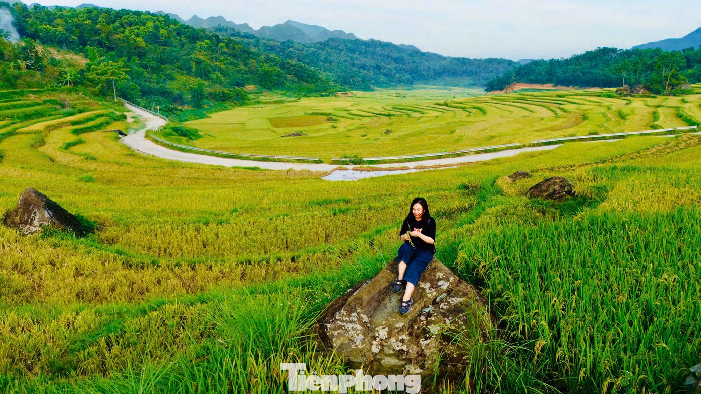 Bạn Minh Nhật du khách đến từ Hà Nội cho biết: "Tranh thủ lúa đang vào mùa chín rộ, mình cùng nhóm bạn tranh thủ làm 1 chuyến phượt đến Pù Luông ngắm lúa và chụp hình “sống ảo”. Mặc dù đang vào hè nhưng thời tiết tại Pù Luông không quá nóng, lý tưởng cho mọi hoạt động, vừa có thể thả bộ hít thở không khí trong lành của vùng rừng núi vừa ngắm những ruộng lúa từ trên cao, ngắm trọn khung cảnh đẹp mê hồn của Pù Luông".