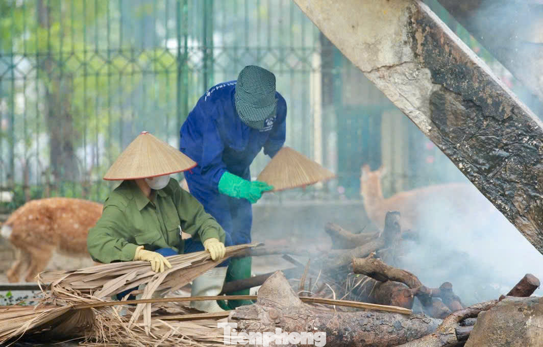 Ông Lê Sĩ Dũng, Chủ tịch Công ty TNHH một thành viên Vườn thú Hà Nội cho hay, Vườn thú Hà Nội hiện có gần 600 cá thể thuộc hơn 100 loài gồm: 5 loài bò sát lưỡng cư, 40 loài cá nước mặn, 35 loài thú, 50 loài chim… Hằng năm Vườn thú Hà Nội đều xây dựng kế hoạch chống rét cho các loài động vật, đặc biệt là những ngày giá lạnh, rét buốt.