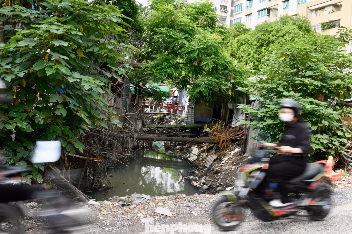 Đoạn giao với phố Thành Thái hiện đang trở thành điểm tập kết rác thải tự phát, trong khi lối đi nhỏ không có rào chắn, gây nguy hiểm cho người tham gia giao thông, đặc biệt vào ban đêm.