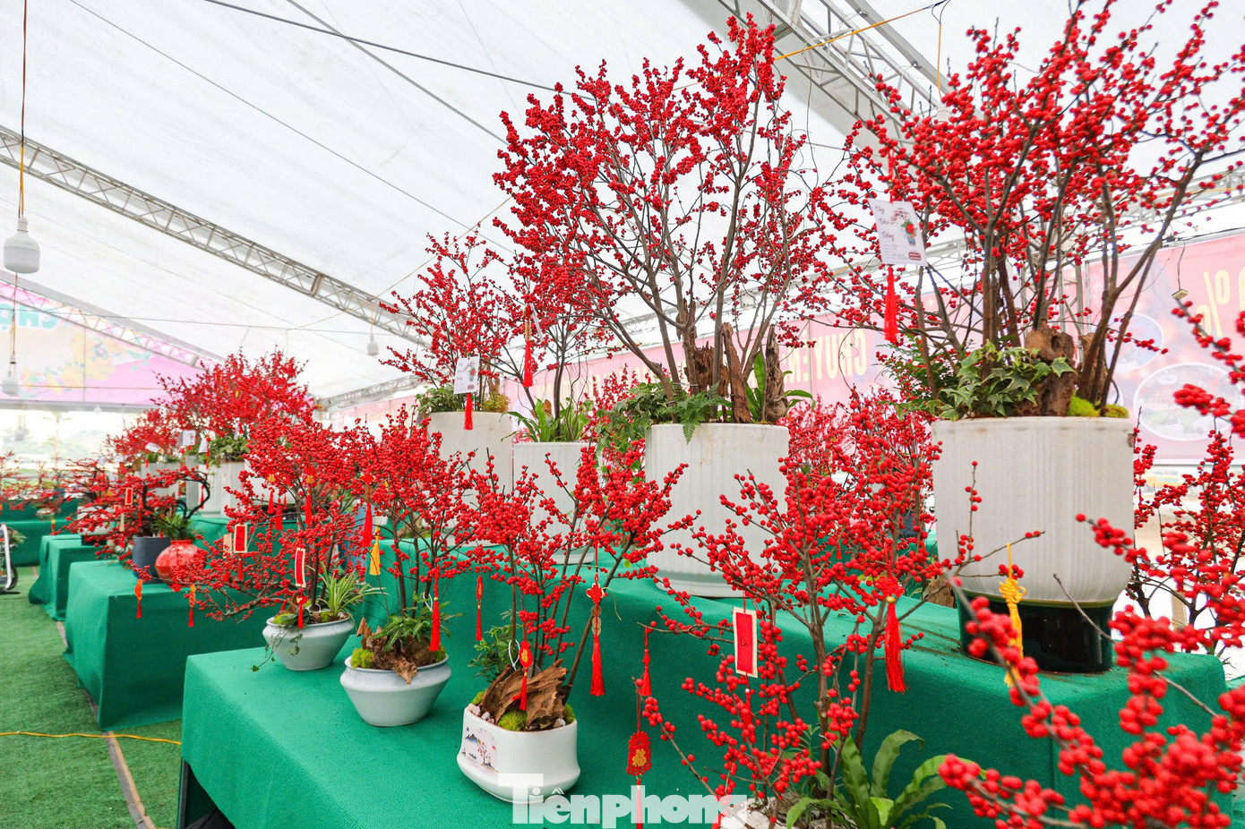 Các nghệ nhân còn khéo léo tạo ra những cây xanh nhỏ hoặc tiểu cảnh để trang trí thêm, nâng cao tính thẩm mỹ, phục vụ đa dạng nhu cầu của khách hàng.