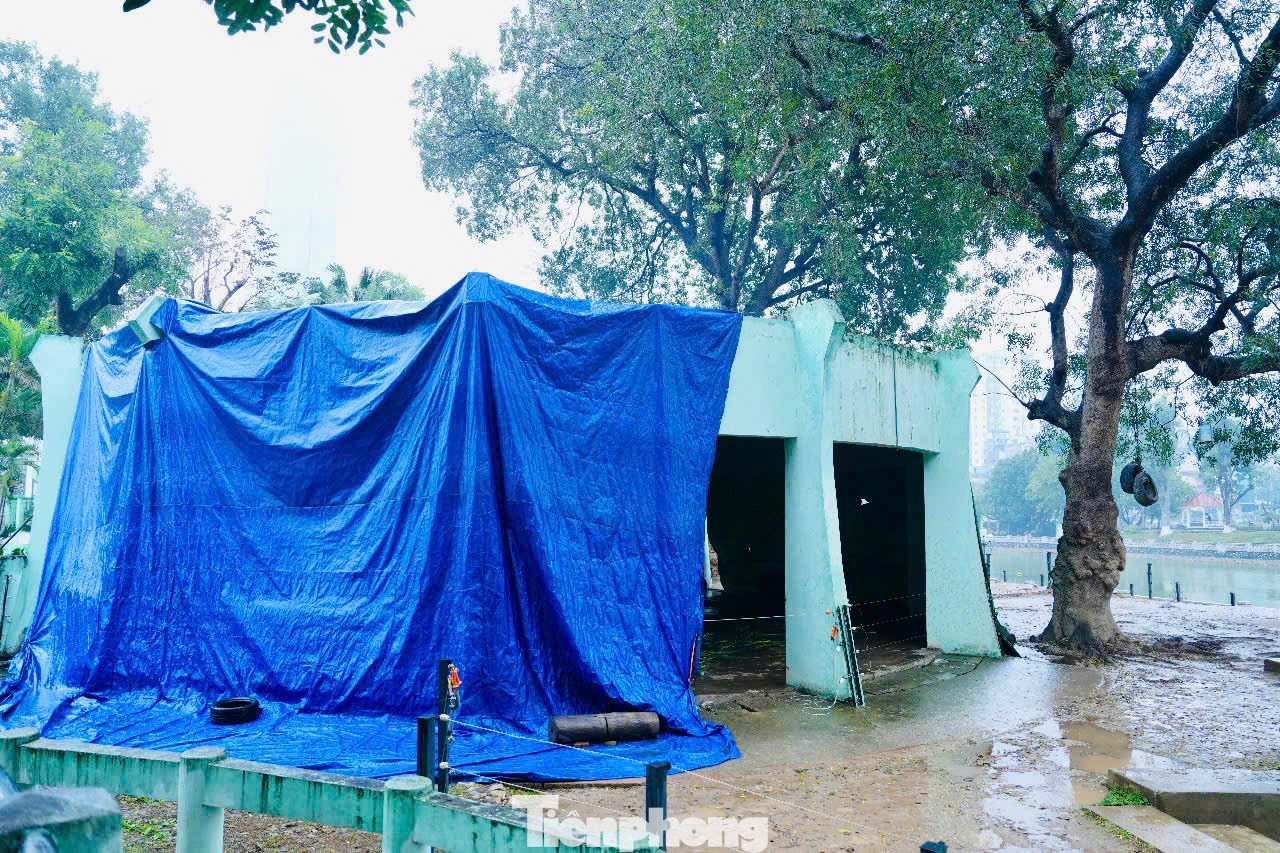 Những ngày qua khi thời tiết mưa rét đậm dưới 17 độ, các công nhân ở vườn thú Thủ Lệ, Hà Nội đang triển khai nhiều biện pháp để đảm bảo sức khỏe cho các con vật.