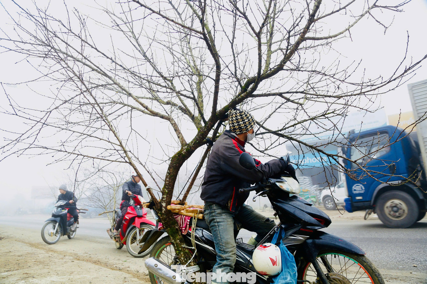 Từ đây, thương lái có thể tiếp tục chở về xuôi để phục vụ nhu cầu chơi Tết của người dân. Từ đây, thương lái có thể tiếp tục chở về xuôi để phục vụ nhu cầu chơi Tết của người dân.