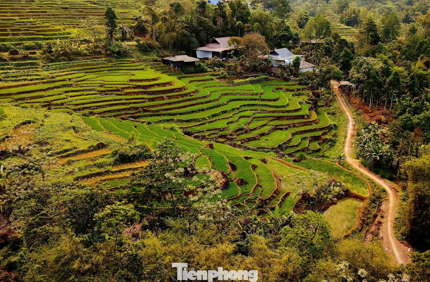 Xen lẫn là các thung lũng ruộng bậc thang và bản làng của người Thái, người Mường.