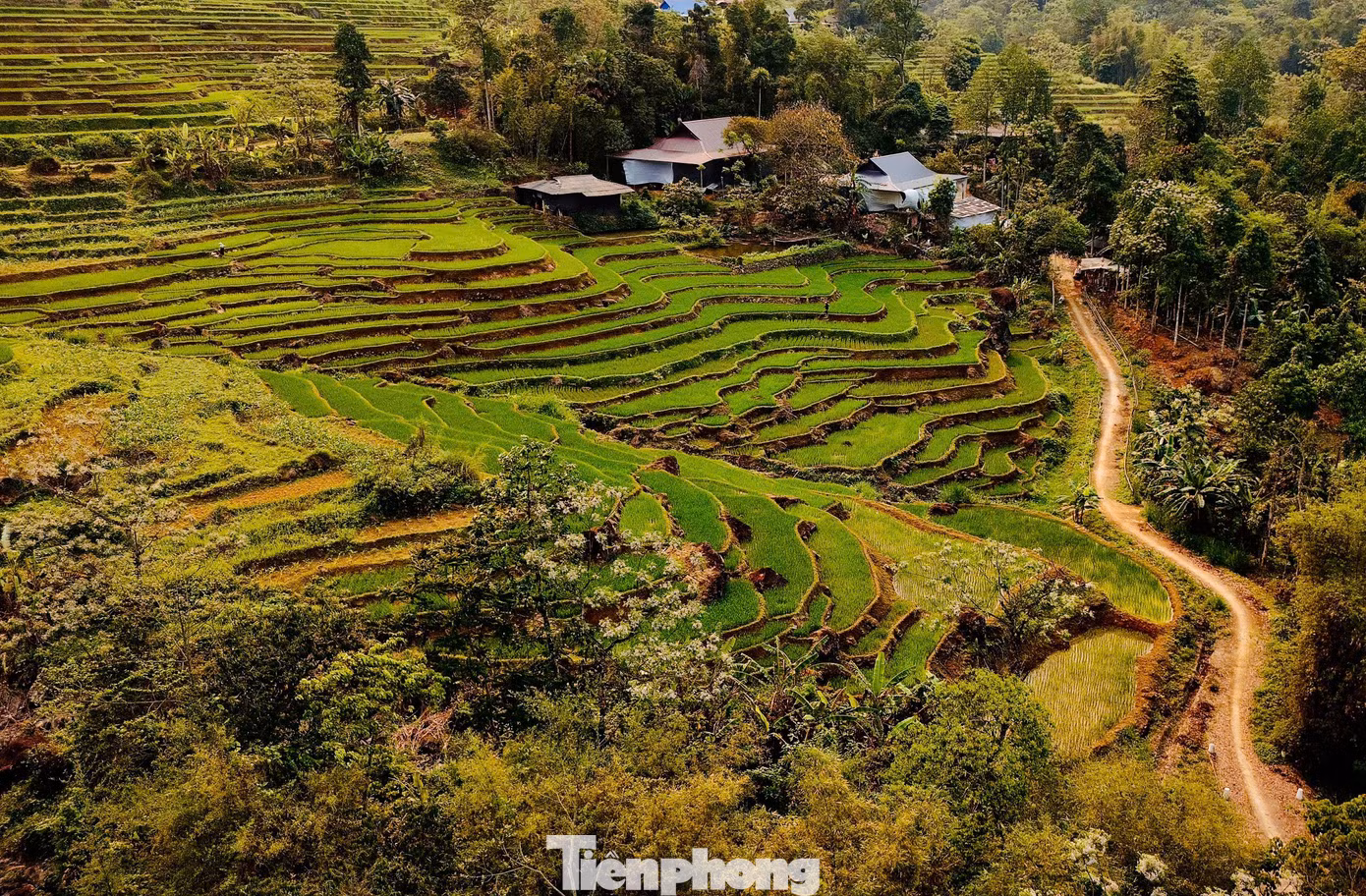Xen lẫn là các thung lũng ruộng bậc thang và bản làng của người Thái, người Mường.
