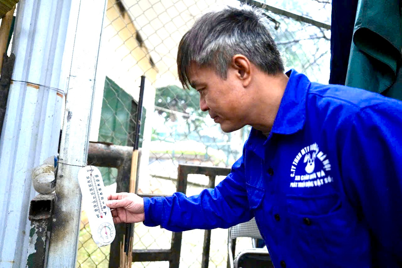 Với các loài thú lớn, quý hiếm như voi, hà mã, sư tử, hổ… đều có máy sưởi, máy điều hòa hoặc bình nước nóng để giữ nhiệt độ cho cơ thể cho động vật.