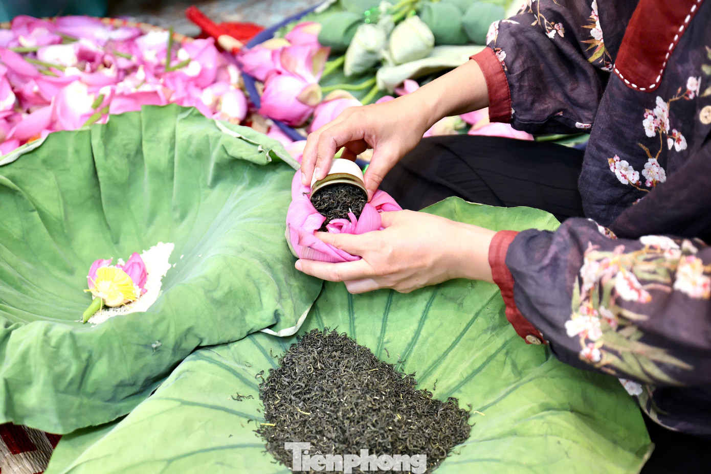 Trà sen ướp xổi khá dễ làm. Hoa sen ngay sau khi được cắt lên tại hồ hoặc mua về từ sáng sớm cần được ướp trà luôn để tranh thủ lúc hương sen còn đượm nhất. Hoa được ướp sen xong cho cắm vào các bình hoặc chậu nước để qua 1 đêm. Vào hôm sau, khi hương sen đã ngào ngạt trong trà, lúc này có thể bắt đầu lấy dùng. Với những bông sen đã ướp còn lại, có thể bảo quản bằng cách cho vào túi hút chân không bỏ ngăn đá tủ lạnh, dùng dần. Trà sen ướp xổi khá dễ làm. Hoa sen ngay sau khi được cắt lên tại hồ hoặc mua về từ sáng sớm cần được ướp trà luôn để tranh thủ lúc hương sen còn đượm nhất. Hoa được ướp sen xong cho cắm vào các bình hoặc chậu nước để qua 1 đêm. Vào hôm sau, khi hương sen đã ngào ngạt trong trà, lúc này có thể bắt đầu lấy dùng. Với những bông sen đã ướp còn lại, có thể bảo quản bằng cách cho vào túi hút chân không bỏ ngăn đá tủ lạnh, dùng dần.