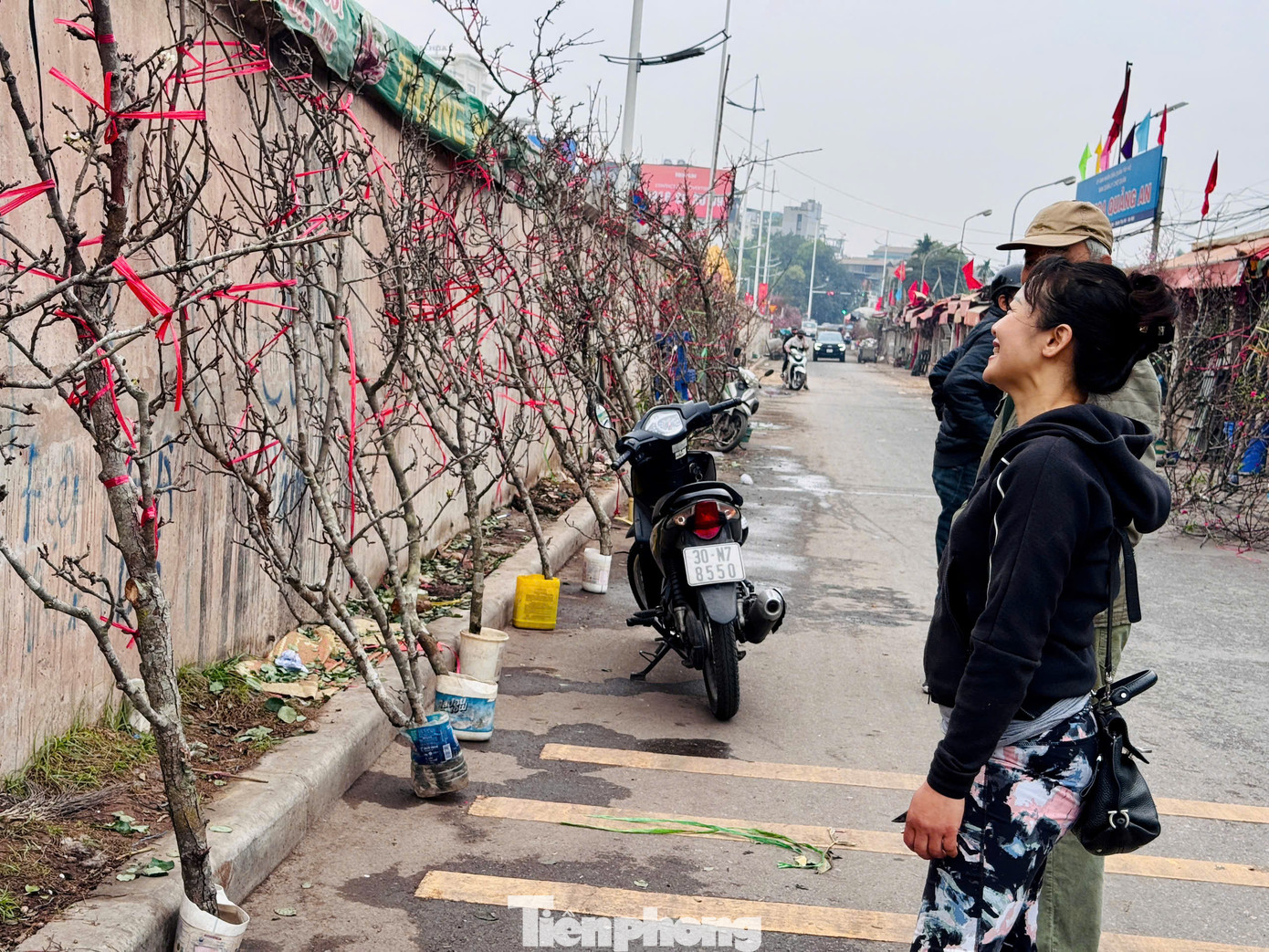 Những cành hoa lê chỉ điểm xuyết một vài bông hoa, chưa nở bung có giá từ vài trăm nghìn đến hơn 1 triệu đồng. Nhiều cành đã được người chơi đánh số, "xí chỗ" sớm đợi rước về nhà. Những cành hoa lê chỉ điểm xuyết một vài bông hoa, chưa nở bung có giá từ vài trăm nghìn đến hơn 1 triệu đồng. Nhiều cành đã được người chơi đánh số, "xí chỗ" sớm đợi rước về nhà.