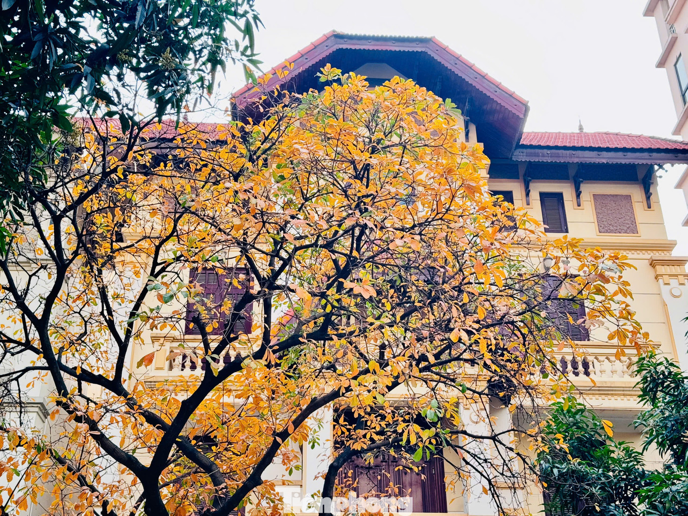 Những góc phố Hà Nội thân quen, cung đường, cây xanh bắt đầu chuyển sắc đỏ, vàng. Những góc phố Hà Nội thân quen, cung đường, cây xanh bắt đầu chuyển sắc đỏ, vàng.