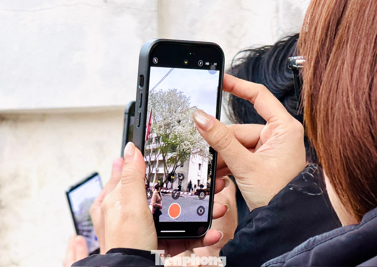 Những ngày này, nhiều người dân, đặc biệt là giới trẻ đã tìm đến với khu ngoại giao đoàn trên phố Hồ Đắc Di để chụp ảnh check-in với sắc trắng tinh khôi của hoa sưa.