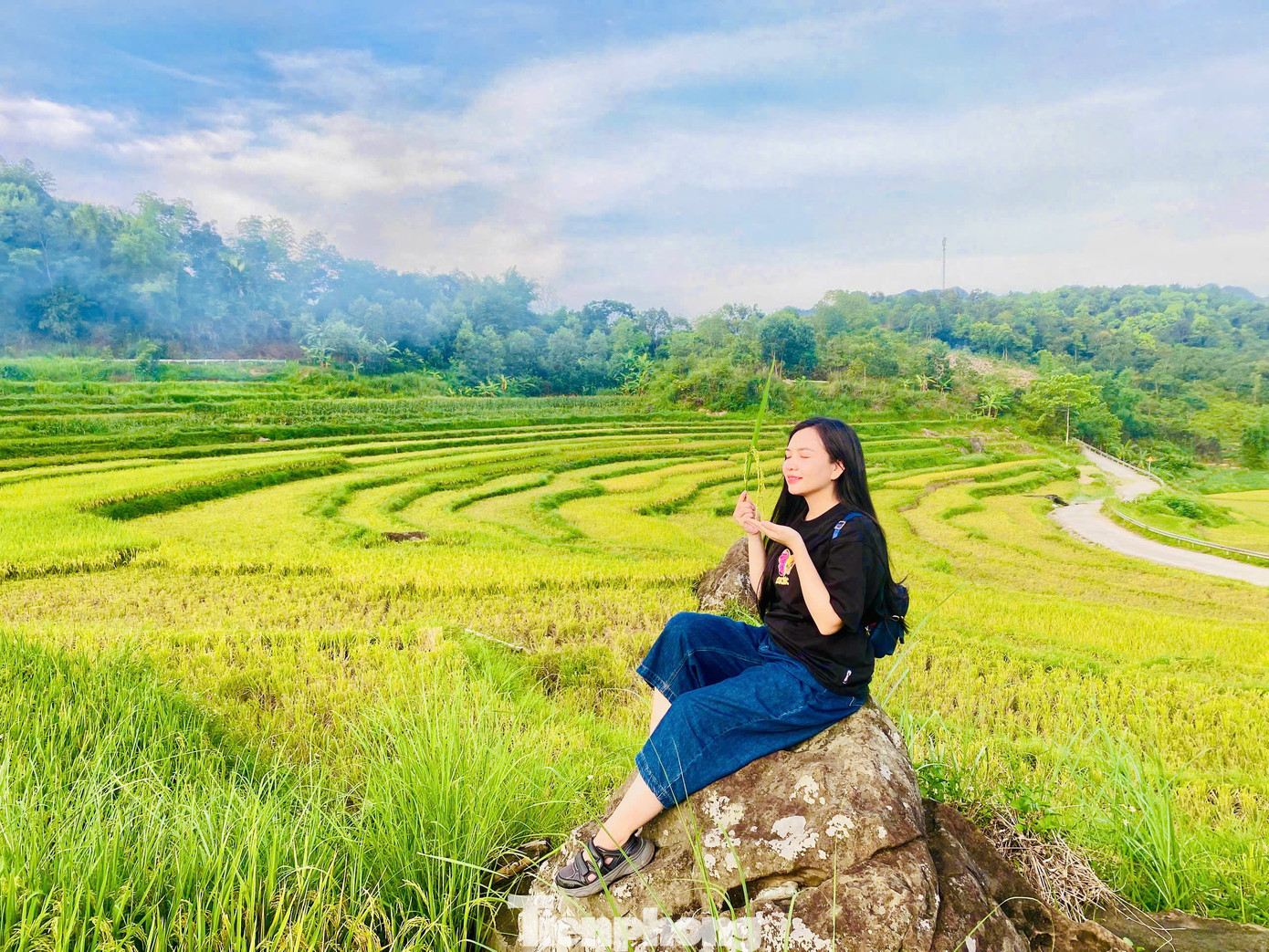 Bạn Minh Nhật du khách đến từ Hà Nội cho biết: "Tranh thủ lúa đang vào mùa chín rộ, mình cùng nhóm bạn tranh thủ làm 1 chuyến phượt đến Pù Luông ngắm lúa và chụp hình “sống ảo”. Mặc dù đang vào hè nhưng thời tiết tại Pù Luông không quá nóng, lý tưởng cho mọi hoạt động, vừa có thể thả bộ hít thở không khí trong lành của vùng rừng núi vừa ngắm những ruộng lúa từ trên cao, ngắm trọn khung cảnh đẹp mê hồn của Pù Luông". Bạn Minh Nhật du khách đến từ Hà Nội cho biết: "Tranh thủ lúa đang vào mùa chín rộ, mình cùng nhóm bạn tranh thủ làm 1 chuyến phượt đến Pù Luông ngắm lúa và chụp hình “sống ảo”. Mặc dù đang vào hè nhưng thời tiết tại Pù Luông không quá nóng, lý tưởng cho mọi hoạt động, vừa có thể thả bộ hít thở không khí trong lành của vùng rừng núi vừa ngắm những ruộng lúa từ trên cao, ngắm trọn khung cảnh đẹp mê hồn của Pù Luông".
