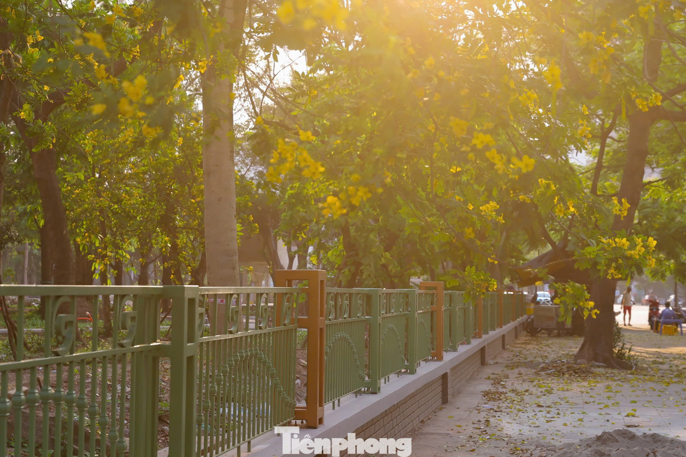 Hàng rào mới bao quanh công viên Cầu Giấy có chiều cao khoảng 1m, thấp hơn so với trước đây.
