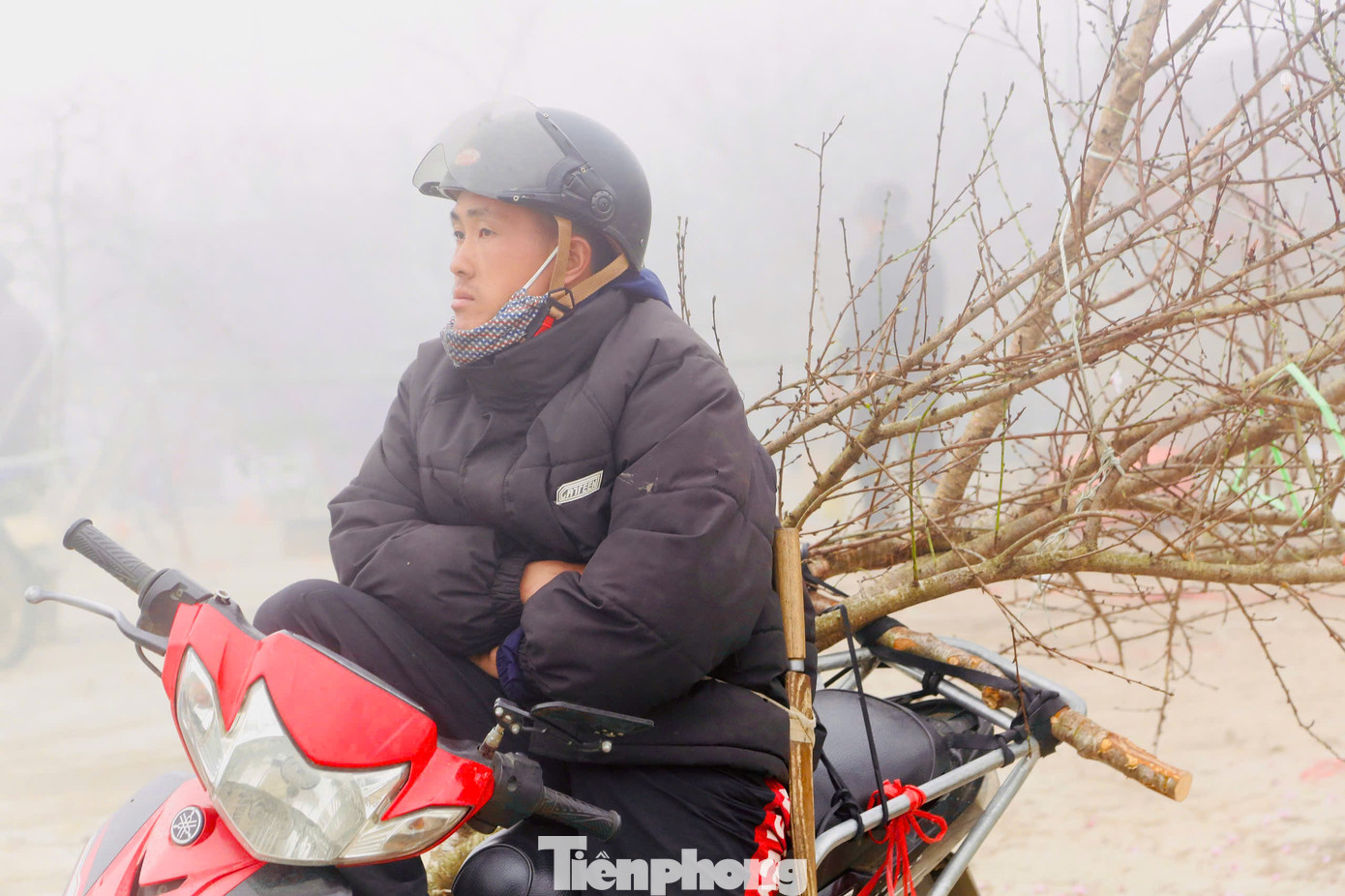 Anh Sùng A Thông (người đồng bào dân tộc Mông) cho biết: "Năm nay bán chậm hơn những năm trước, giá cũng giảm hơn trước chút, mình mong bán hết nhanh để còn về gia đình". Anh Sùng A Thông (người đồng bào dân tộc Mông) cho biết: "Năm nay bán chậm hơn những năm trước, giá cũng giảm hơn trước chút, mình mong bán hết nhanh để còn về gia đình".