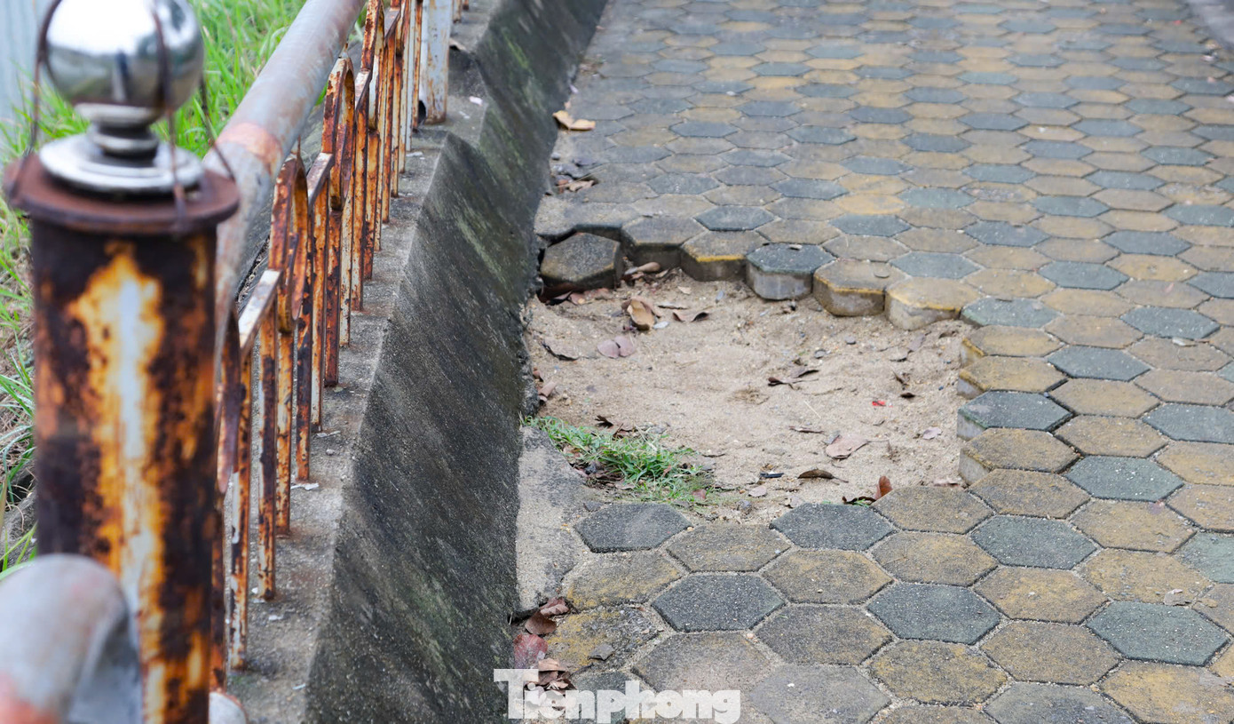 Công viên mở cửa từ năm 2014 với mục đích tạo ra nhiều sân chơi an toàn cho trẻ em và người dân. Sau nhiều năm đưa vào hoạt động, Công viên Cầu Giấy hiện đã xuống cấp nhiều hạng mục. Lan can bao quanh hồ gỉ sét, bậc thang lên khu Quảng trường Trung tâm bị sụt lún ảnh hưởng đến việc vui chơi, tập thể dục của người dân.