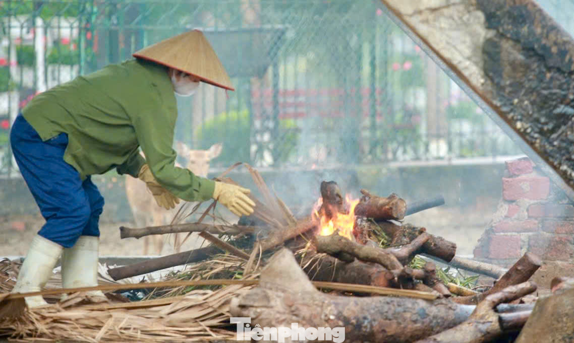 Những ngày qua khi thời tiết mưa rét đậm dưới 17 độ, các công nhân ở vườn thú Thủ Lệ, Hà Nội đang triển khai nhiều biện pháp để đảm bảo sức khỏe cho các con vật.