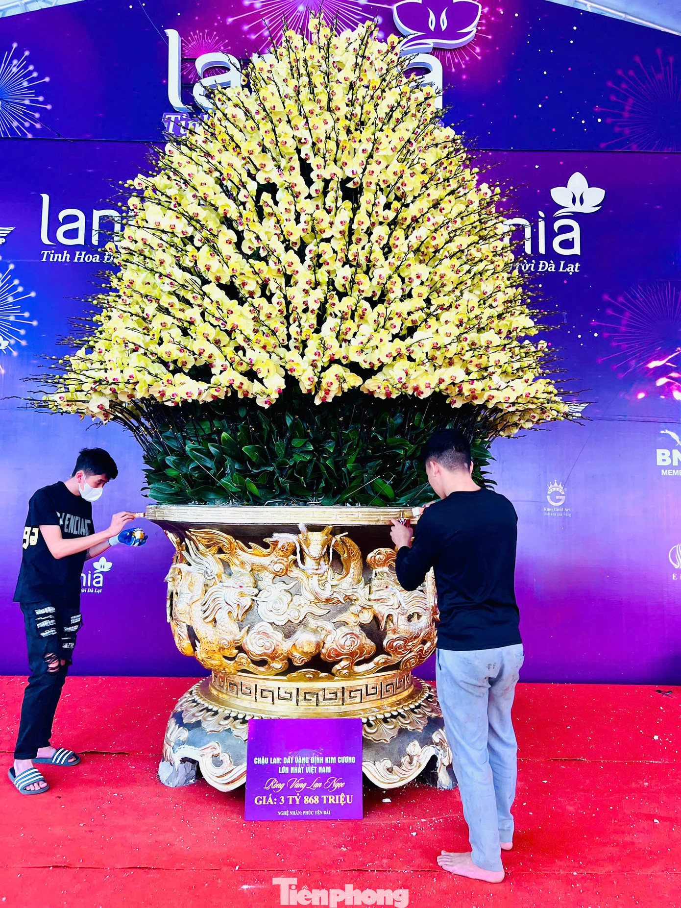 Trên thành chậu dùng để ghép lan được dát vàng, đính đá quý và kim cương; trạm trổ 9 con rồng dát vàng 24K. Chiếc chậu có trọng lượng khoảng 1 tấn.