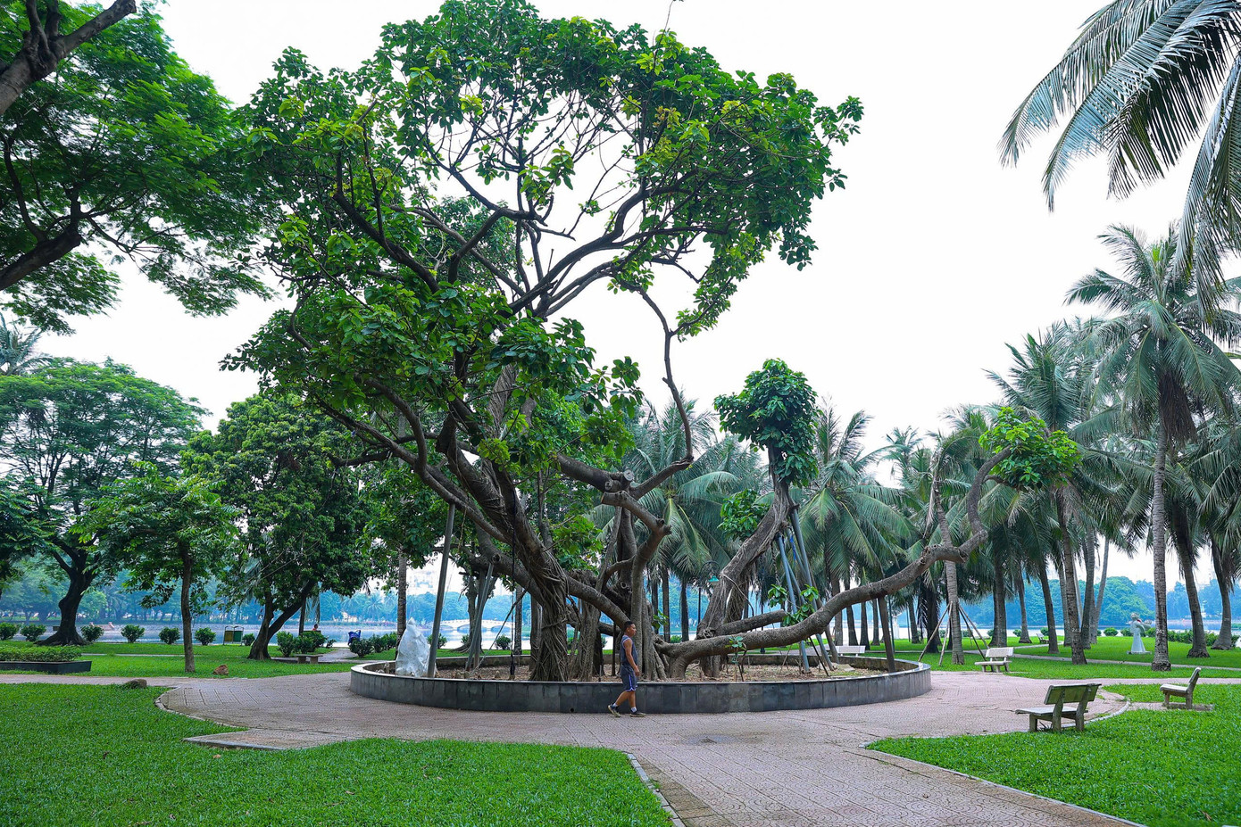 Tên gọi công viên “Thống Nhất” không chỉ đơn thuần là một địa danh, mà là tuyên ngôn sống động về niềm tin và lòng yêu nước. Tượng đài Bác Hồ - Bác Tôn được đặt trang trọng trên đảo Thống Nhất.