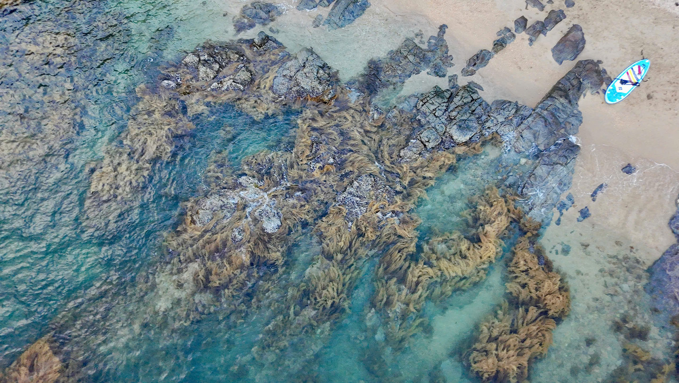 Dọc bãi biển dài hơn 2km là hàng nghìn tảng đá lớn nhỏ với đủ hình dáng, ôm bọc lấy bãi đá là cây cối um tùm xanh mướt. Dọc bãi biển dài hơn 2km là hàng nghìn tảng đá lớn nhỏ với đủ hình dáng, ôm bọc lấy bãi đá là cây cối um tùm xanh mướt.