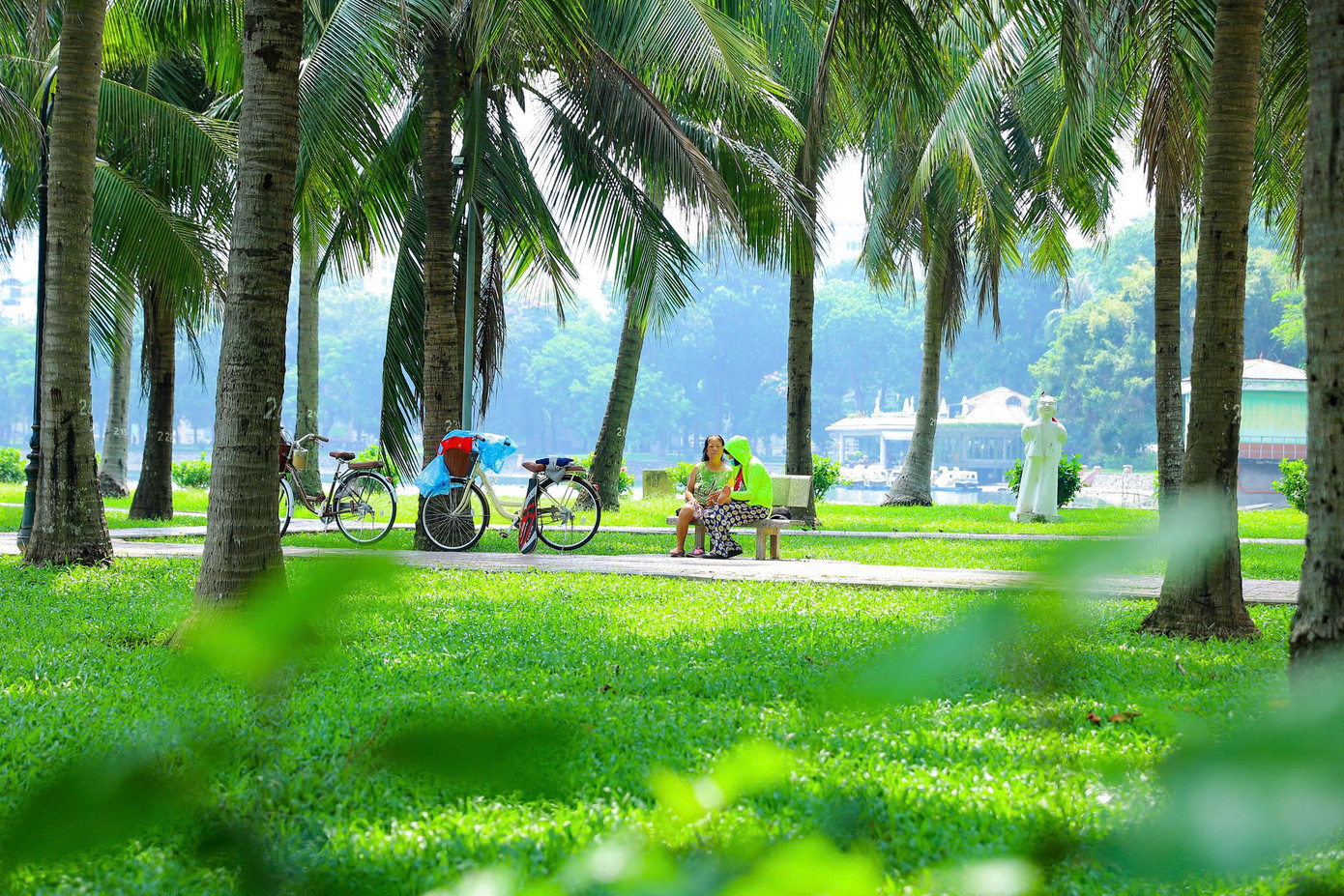 Công viên Thống Nhất đang dần khoác lên mình một diện mạo mới, hiện đại hơn nhưng vẫn gìn giữ được nét cổ kính, thanh bình. Hiện tại toàn bộ hàng rào công viên đã được thay thế bằng các thảm hoa, cây xanh tạo không gian mở thân thiện.