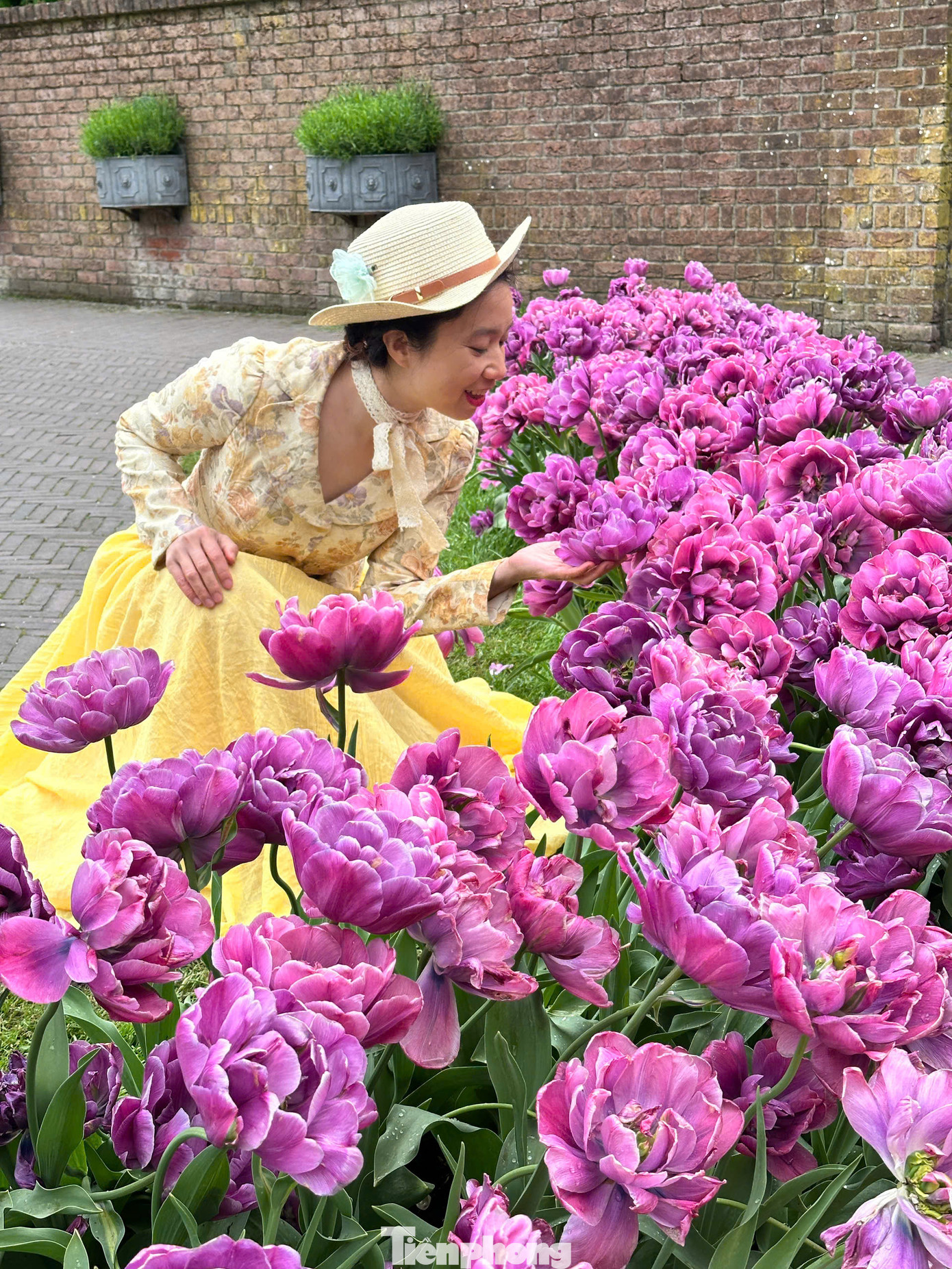 Anh Việt Dũng đến từ Hà Nội chia sẻ: "Mình đã mơ ước đến đây từ lâu và thực sự choáng ngợp trước vẻ đẹp của nó. Cả một biển hoa rực rỡ, không khí trong lành, chụp ảnh góc nào cũng đẹp mê hồn. Đến đây rồi mới thấy Hà Lan xứng danh xứ sở hoa tulip."