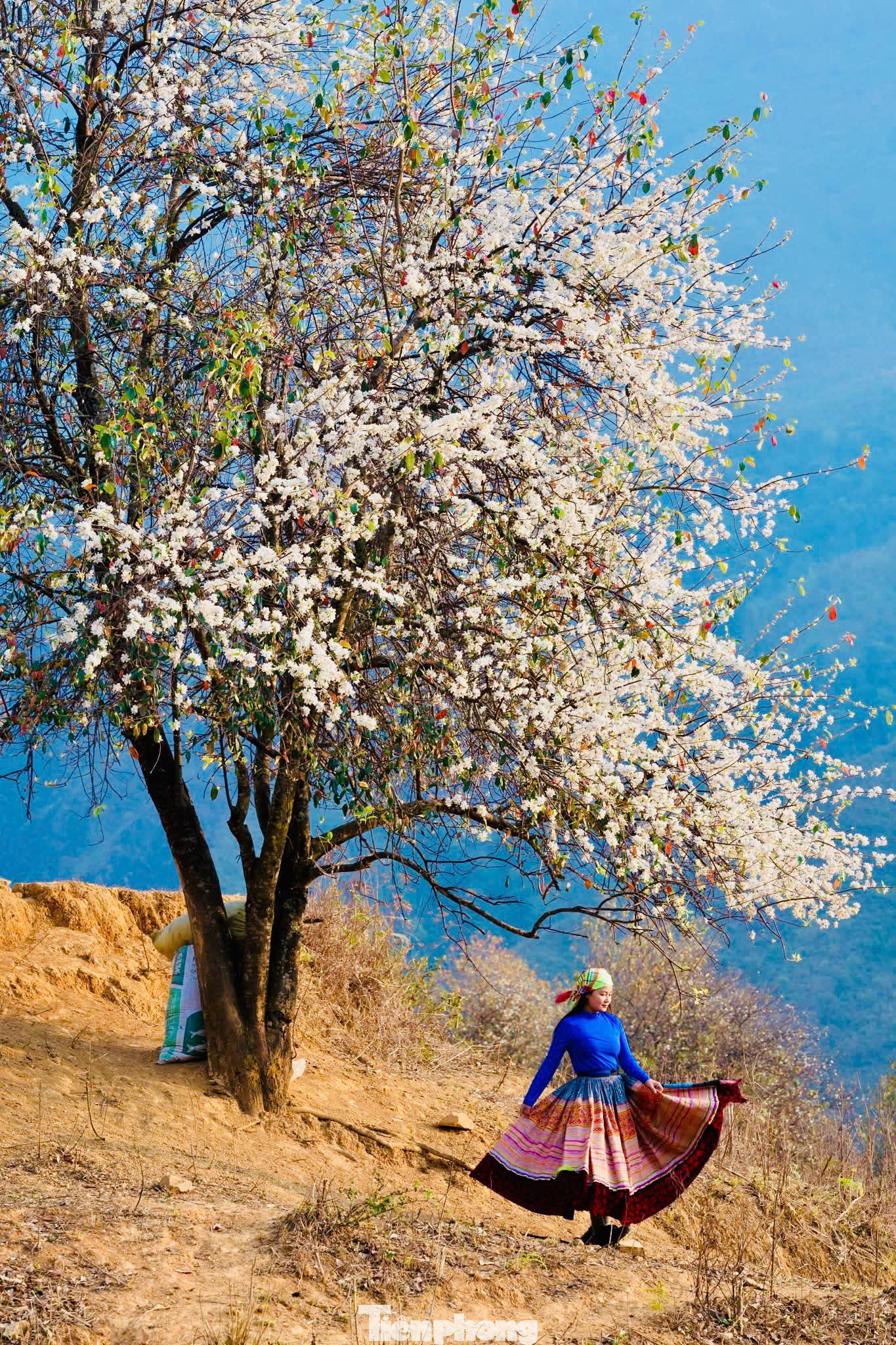 Nhiếp ảnh gia Huy Hoàng đến từ Hà Nội cho biết: "Nậm Nghiệp quá đẹp vì mọi thứ còn hoang sơ, ở độ cao lớn nên thời tiết mát mẻ dễ chịu hơn dưới đồng bằng. Tôi bén duyên với Nậm Nghiệp từ bộ ảnh hoa đầu tháng 3 vừa qua trong chuyến đi thị sát cùng một đoàn khách du lịch".