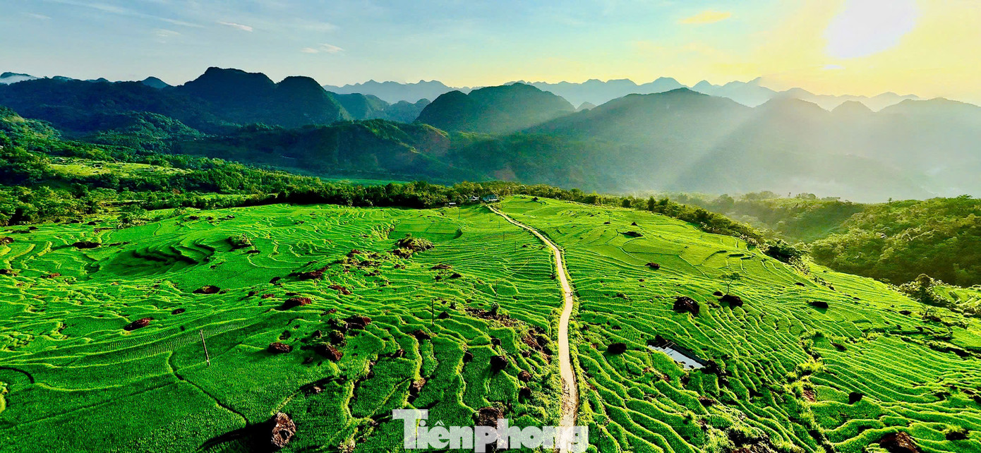 Khu bảo tồn thiên nhiên Pù Luông, thuộc địa phận hai huyện Bá Thước và huyện Quan Hóa, cách TP. Thanh Hóa khoảng 150km về phía Tây Bắc.