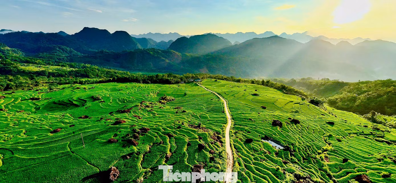 Khu bảo tồn thiên nhiên Pù Luông, thuộc địa phận hai huyện Bá Thước và huyện Quan Hóa, cách TP. Thanh Hóa khoảng 150km về phía Tây Bắc.