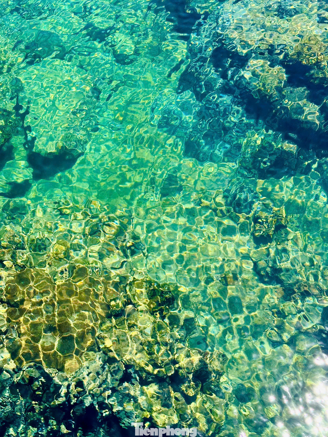 Bàn Than được ví như bảo tàng tự nhiên, phản ánh quá trình phát triển địa chất. Đá phiến ở đây không chỉ bộc lộ trên diện rộng mà còn được sóng biển và gió mài mòn rất sắc nét. Trên bề mặt các ghềnh đá, thềm đá có những đường nét lạ mắt, cuốn hút.