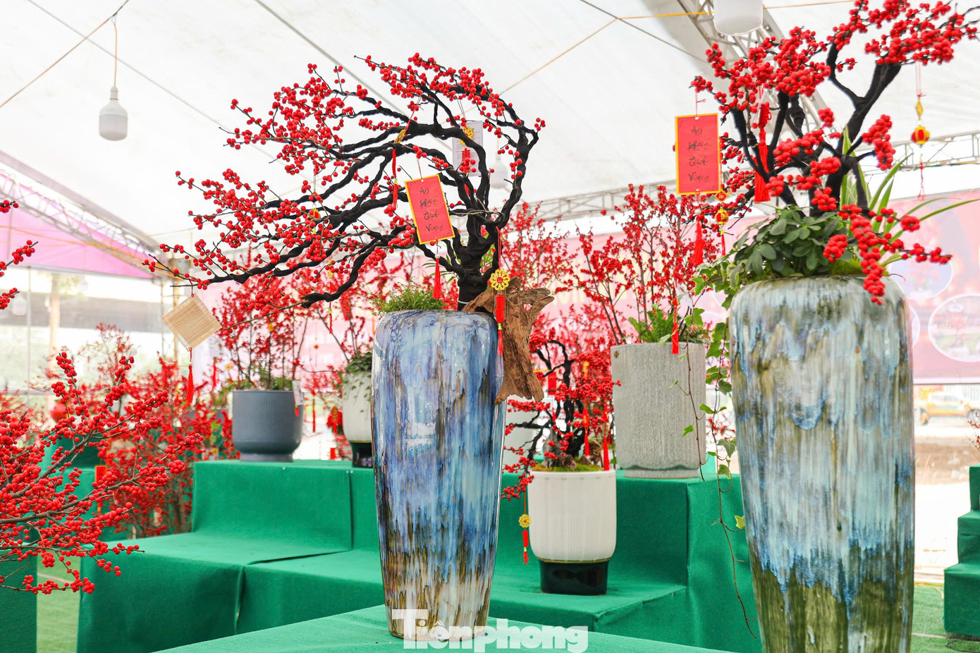 Khác với vẻ đẹp rực rỡ của hoa đào truyền thống, đào đông gây ấn tượng với những chùm quả đỏ mọng, căng tròn, mọc chi chít trên cành. Hiện tại giá thấp nhất là những chậu đào đông tiểu cảnh mini, bonsai để bàn từ 3 - 7 triệu đồng/chậu, những chậu lớn hơn có giá vài chục triệu đồng/chậu. Đáng chú ý, một số chậu cao cấp được làm tỉ mỉ với nhiều kiểu dáng cầu kỳ có thể lên tới cả trăm triệu đồng.