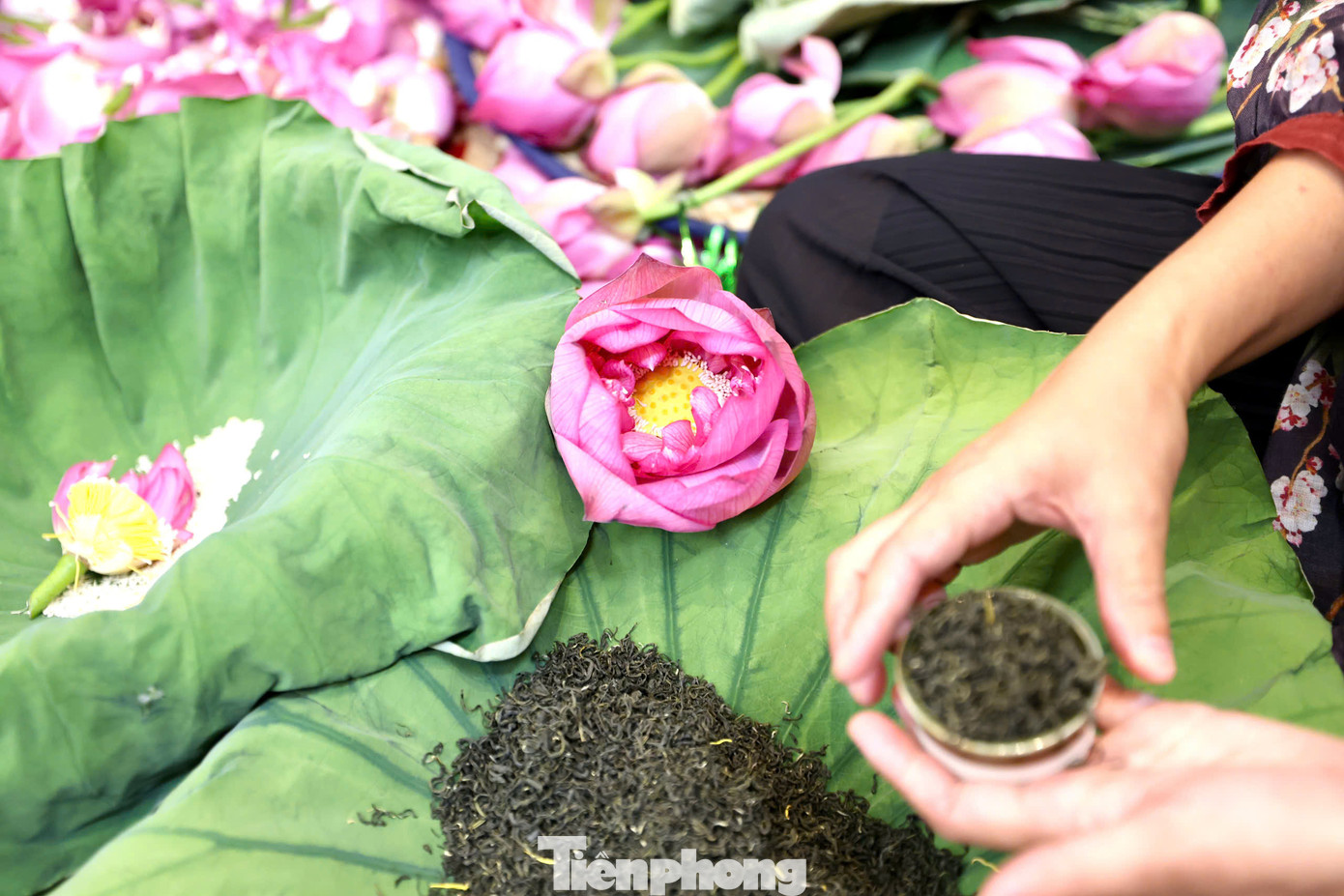 Trà sen ướp xổi khá dễ làm. Hoa sen ngay sau khi được cắt lên tại hồ hoặc mua về từ sáng sớm cần được ướp trà luôn để tranh thủ lúc hương sen còn đượm nhất. Hoa được ướp sen xong cho cắm vào các bình hoặc chậu nước để qua 1 đêm. Vào hôm sau, khi hương sen đã ngào ngạt trong trà, lúc này có thể bắt đầu lấy dùng. Với những bông sen đã ướp còn lại, có thể bảo quản bằng cách cho vào túi hút chân không bỏ ngăn đá tủ lạnh, dùng dần. Trà sen ướp xổi khá dễ làm. Hoa sen ngay sau khi được cắt lên tại hồ hoặc mua về từ sáng sớm cần được ướp trà luôn để tranh thủ lúc hương sen còn đượm nhất. Hoa được ướp sen xong cho cắm vào các bình hoặc chậu nước để qua 1 đêm. Vào hôm sau, khi hương sen đã ngào ngạt trong trà, lúc này có thể bắt đầu lấy dùng. Với những bông sen đã ướp còn lại, có thể bảo quản bằng cách cho vào túi hút chân không bỏ ngăn đá tủ lạnh, dùng dần.