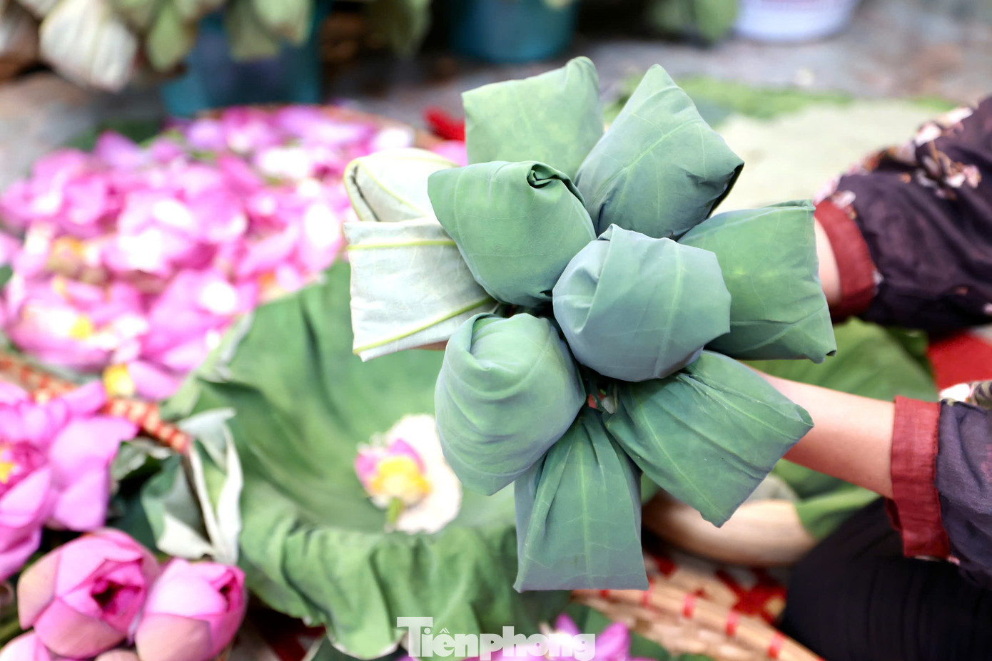 Loại trà xổi ướp trong bông sen có giá khoảng 30.000 đến 50.000 đồng/bông. Đây cũng được xem là loại trà có giá đắt đỏ bậc nhất chỉ dành cho giới nhà giàu. Loại trà xổi ướp trong bông sen có giá khoảng 30.000 đến 50.000 đồng/bông. Đây cũng được xem là loại trà có giá đắt đỏ bậc nhất chỉ dành cho giới nhà giàu.