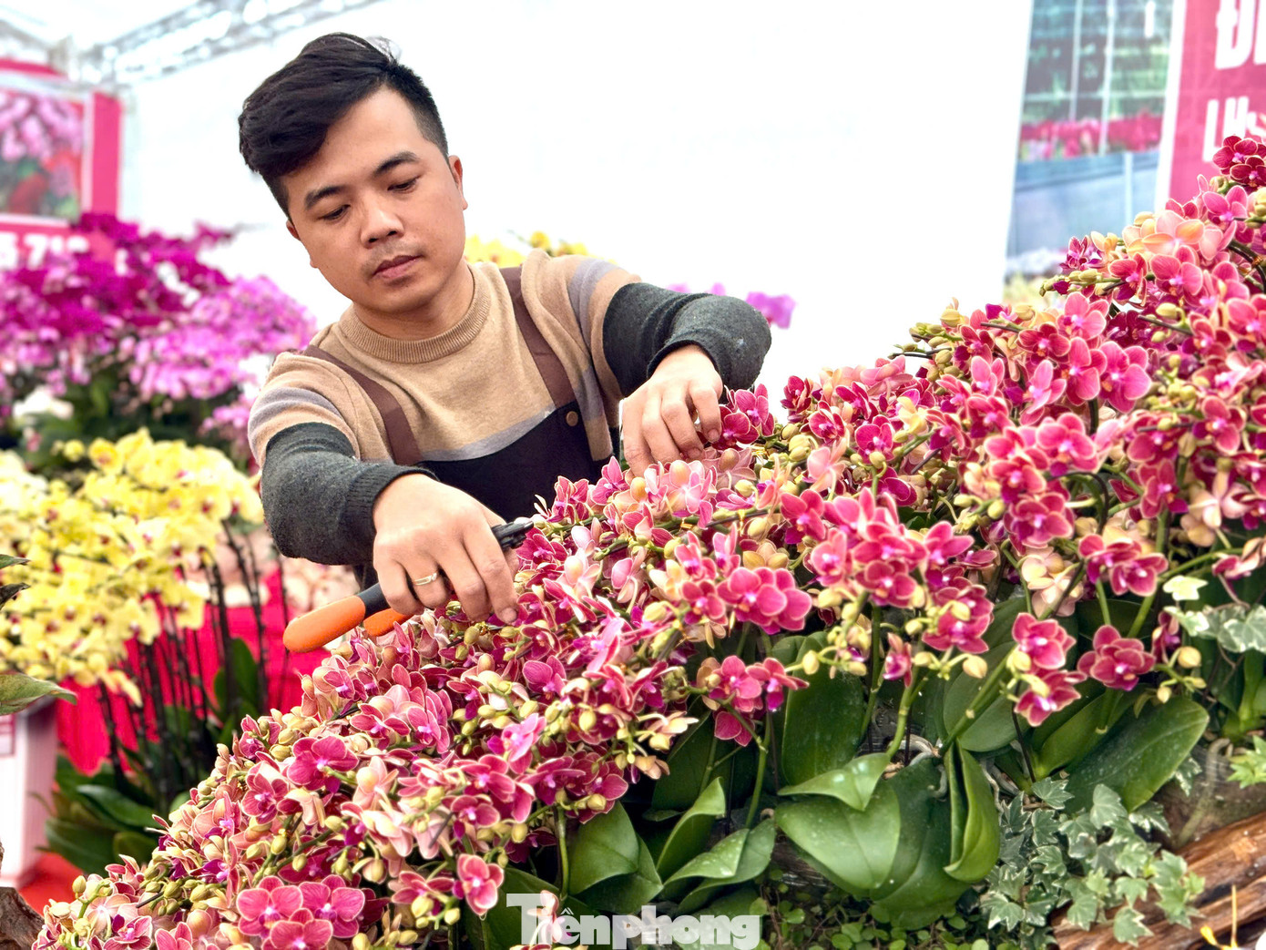 “Vài năm trở lại đây, các sản phẩm lan hồ điệp nằm trên gỗ lũa được nhiều khách hàng ưa chuộng vì kiểu dáng mới mẻ và phong cách sang trọng. Đối với sản phẩm đặc biệt này hoa lan phải được phối màu kỹ càng, toát lên vẻ sang trọng của chậu hoa", người thợ hoa tên Nghiệp chia sẻ.