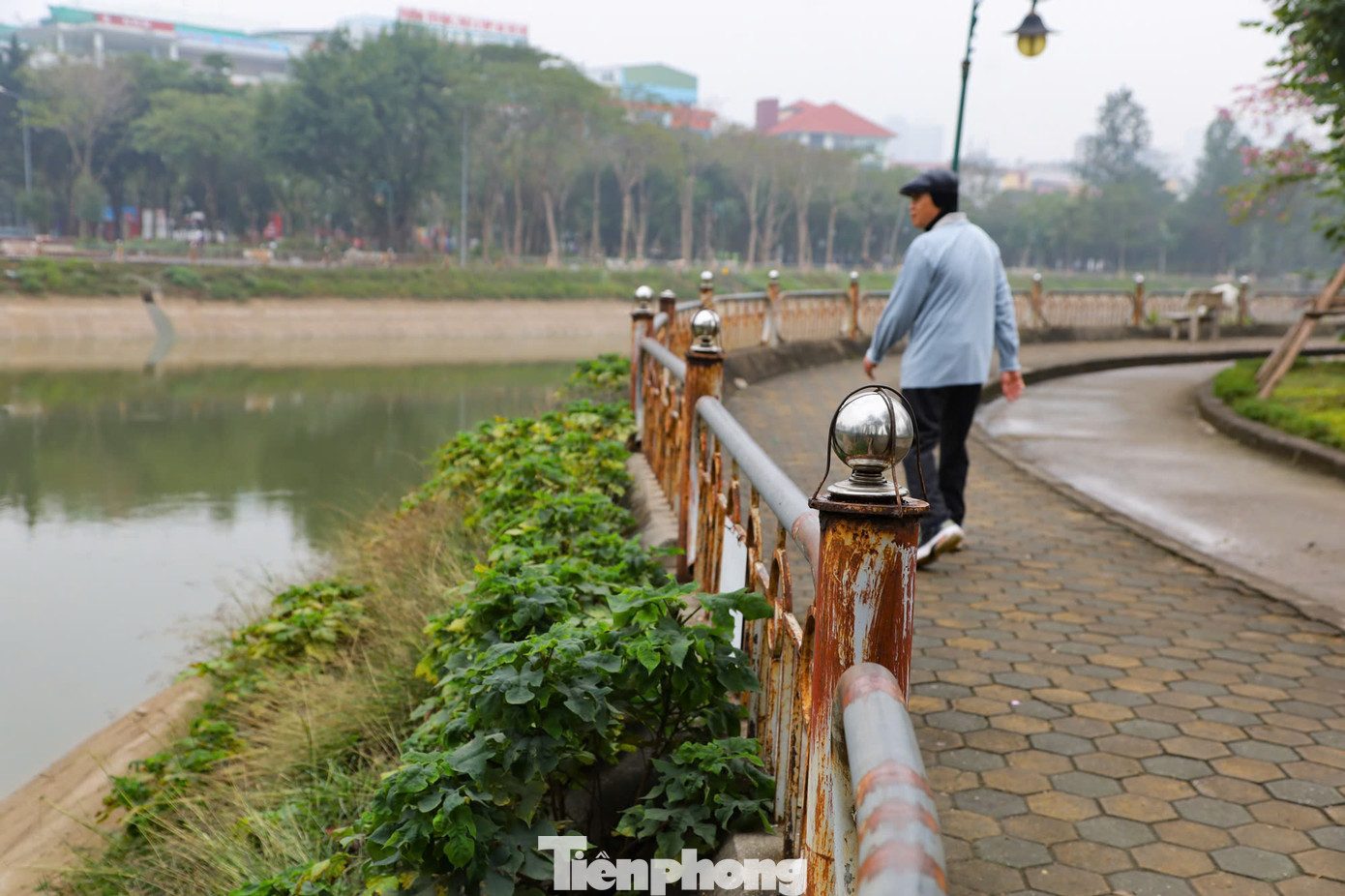 Công viên mở cửa từ năm 2014 với mục đích tạo ra nhiều sân chơi an toàn cho trẻ em và người dân. Sau nhiều năm đưa vào hoạt động, Công viên Cầu Giấy hiện đã xuống cấp nhiều hạng mục. Lan can bao quanh hồ gỉ sét, bậc thang lên khu Quảng trường Trung tâm bị sụt lún ảnh hưởng đến việc vui chơi, tập thể dục của người dân.