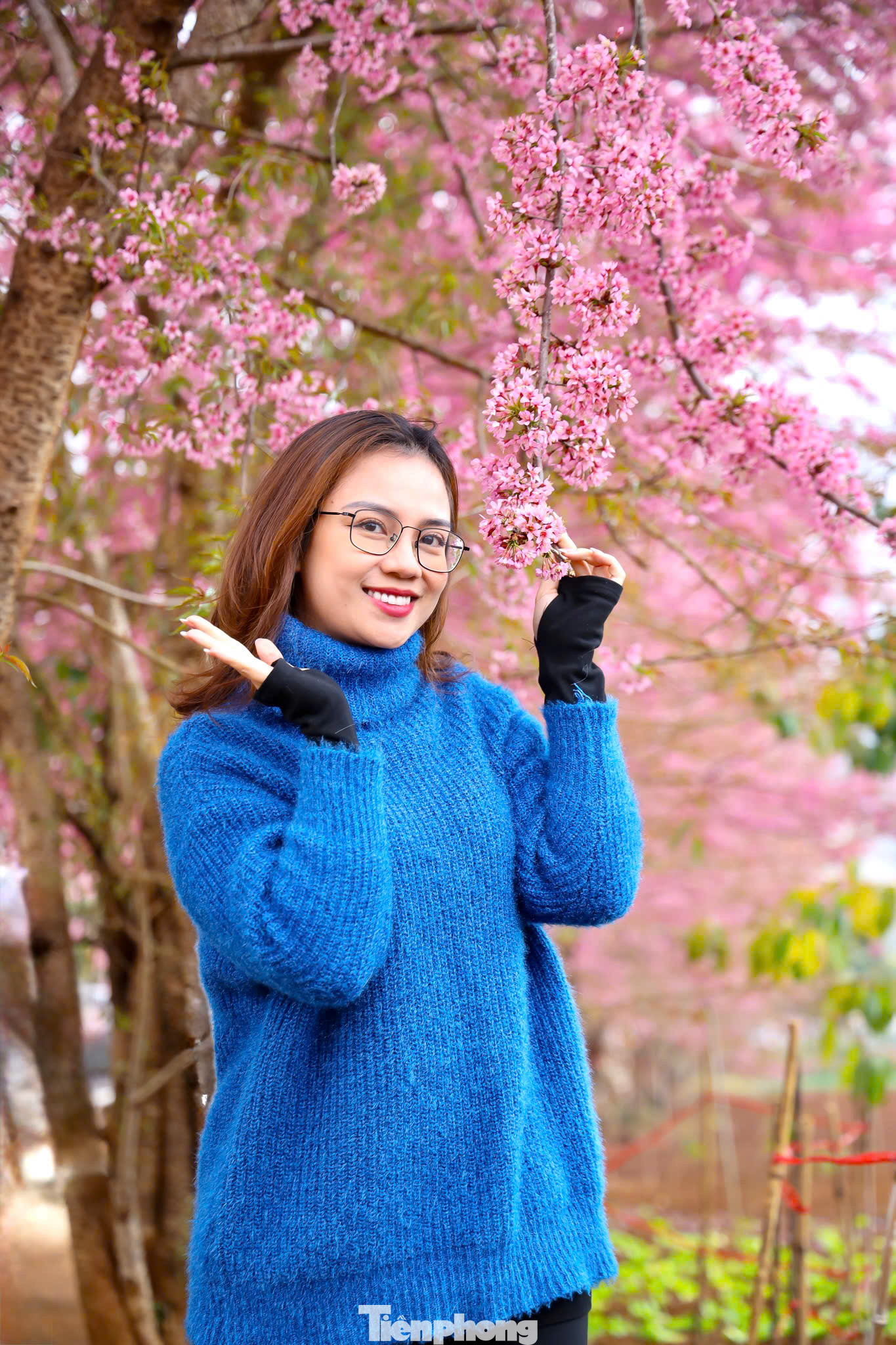 Những cung đường trở thành điểm hẹn lý tưởng để giới trẻ thỏa sức check-in, ghi dấu khoảnh khắc thanh xuân trong khung cảnh thơ mộng, lãng mạn.