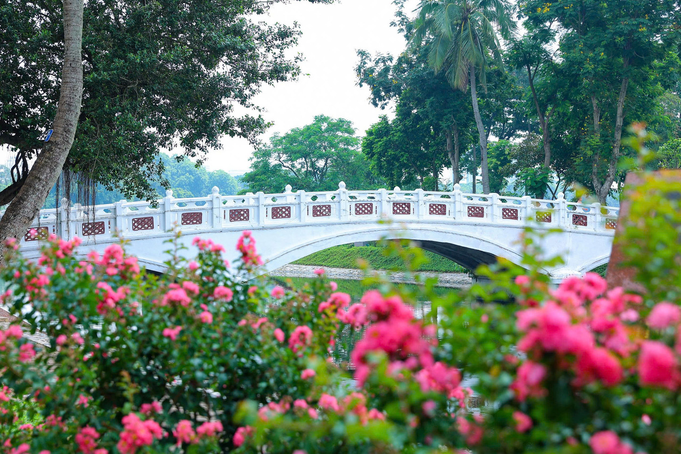 Cảnh quan hài hòa giữa cây xanh, thảm hoa và mặt nước mang lại cảm giác thư thái, dễ chịu giữa lòng thành phố giữa ngày hè oi bức.