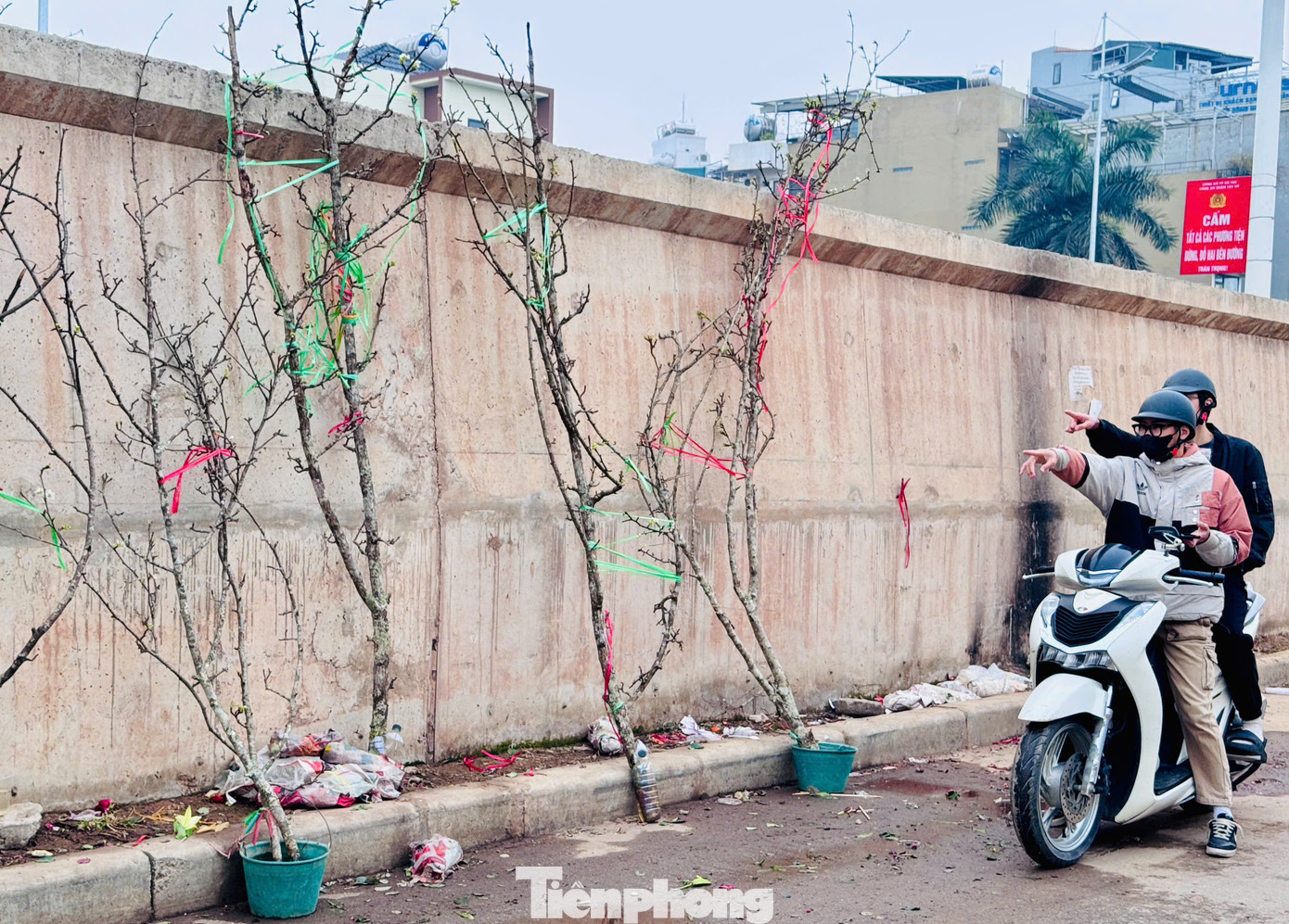 Những cành hoa lê chỉ điểm xuyết một vài bông hoa, chưa nở bung có giá từ vài trăm nghìn đến hơn 1 triệu đồng. Nhiều cành đã được người chơi đánh số, "xí chỗ" sớm đợi rước về nhà. Những cành hoa lê chỉ điểm xuyết một vài bông hoa, chưa nở bung có giá từ vài trăm nghìn đến hơn 1 triệu đồng. Nhiều cành đã được người chơi đánh số, "xí chỗ" sớm đợi rước về nhà.