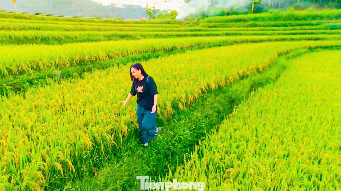 Bạn Minh Nhật du khách đến từ Hà Nội cho biết: "Tranh thủ lúa đang vào mùa chín rộ, mình cùng nhóm bạn tranh thủ làm 1 chuyến phượt đến Pù Luông ngắm lúa và chụp hình “sống ảo”. Mặc dù đang vào hè nhưng thời tiết tại Pù Luông không quá nóng, lý tưởng cho mọi hoạt động, vừa có thể thả bộ hít thở không khí trong lành của vùng rừng núi vừa ngắm những ruộng lúa từ trên cao, ngắm trọn khung cảnh đẹp mê hồn của Pù Luông". Bạn Minh Nhật du khách đến từ Hà Nội cho biết: "Tranh thủ lúa đang vào mùa chín rộ, mình cùng nhóm bạn tranh thủ làm 1 chuyến phượt đến Pù Luông ngắm lúa và chụp hình “sống ảo”. Mặc dù đang vào hè nhưng thời tiết tại Pù Luông không quá nóng, lý tưởng cho mọi hoạt động, vừa có thể thả bộ hít thở không khí trong lành của vùng rừng núi vừa ngắm những ruộng lúa từ trên cao, ngắm trọn khung cảnh đẹp mê hồn của Pù Luông".