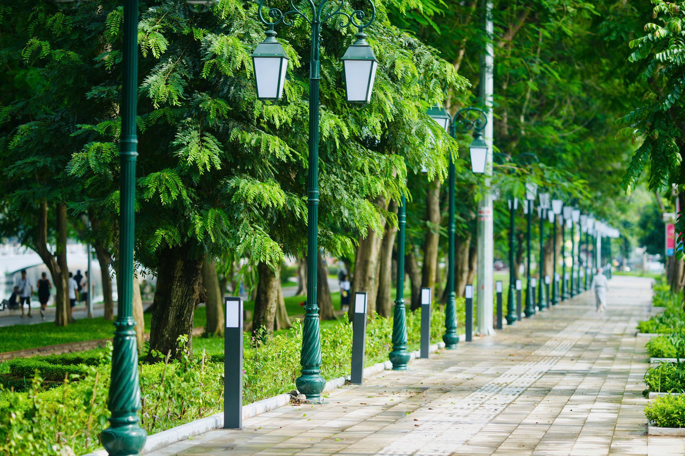 Con đường dạo trong công viên được lát đá tự nhiên uốn lượn dưới tán cây xanh rợp bóng, hệ thống đèn điện chiếu sáng mới là một phần của gói chỉnh trang cảnh quan sau tháo dỡ hàng rào.