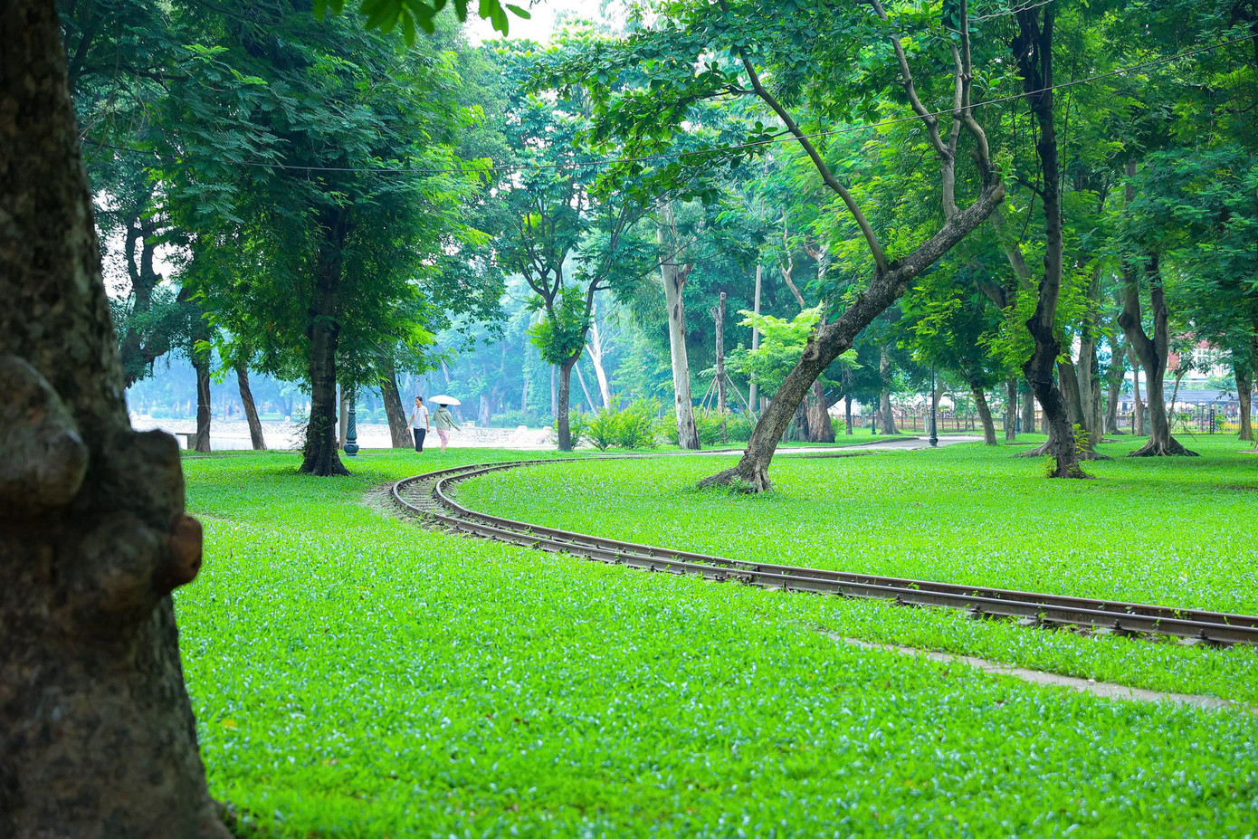 Hệ thống cây xanh được bổ sung và chăm sóc kỹ lưỡng giúp giữ được cảm giác trong lành, dịu mát trong mỗi bước chân.