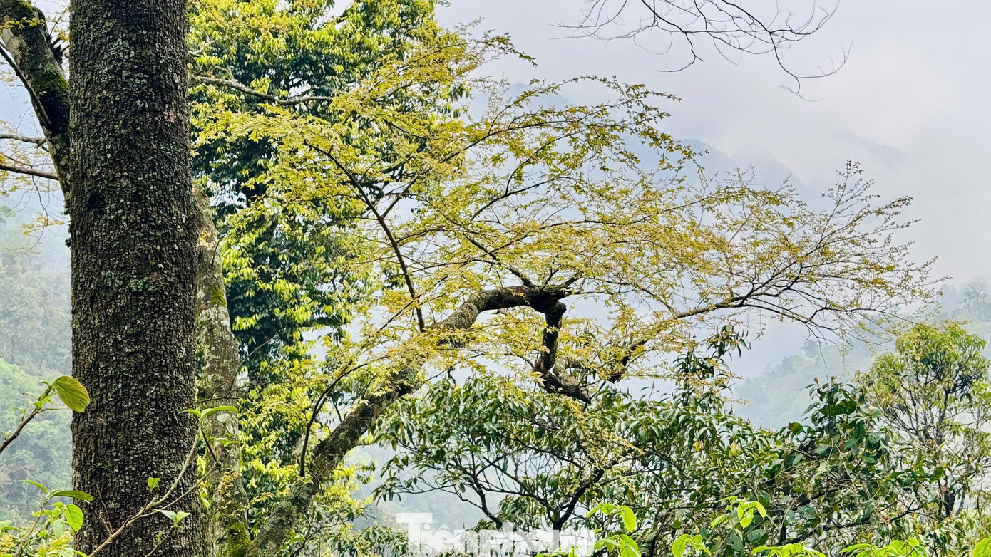 Với những vẻ đẹp thiên nhiên kỳ ảo và trải nghiệm văn hóa đặc sắc, Hang Kia Pà Cò sẽ là điểm dừng chân tuyệt vời cho những ai muốn khám phá sâu hơn về núi rừng Tây Bắc và văn hóa người bản địa H'Mông.