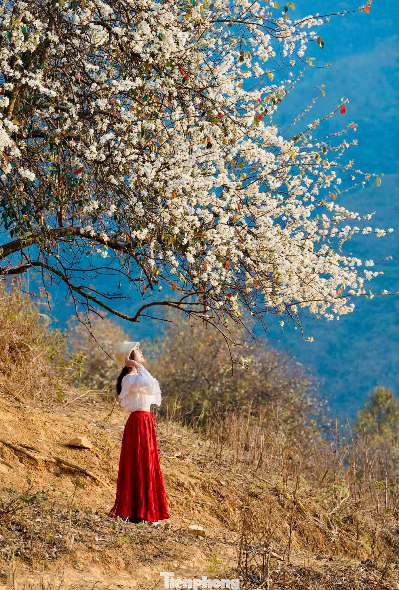 Nhiếp ảnh gia Huy Hoàng đến từ Hà Nội cho biết: "Nậm Nghiệp quá đẹp vì mọi thứ còn hoang sơ, ở độ cao lớn nên thời tiết mát mẻ dễ chịu hơn dưới đồng bằng. Tôi bén duyên với Nậm Nghiệp từ bộ ảnh hoa đầu tháng 3 vừa qua trong chuyến đi thị sát cùng một đoàn khách du lịch".