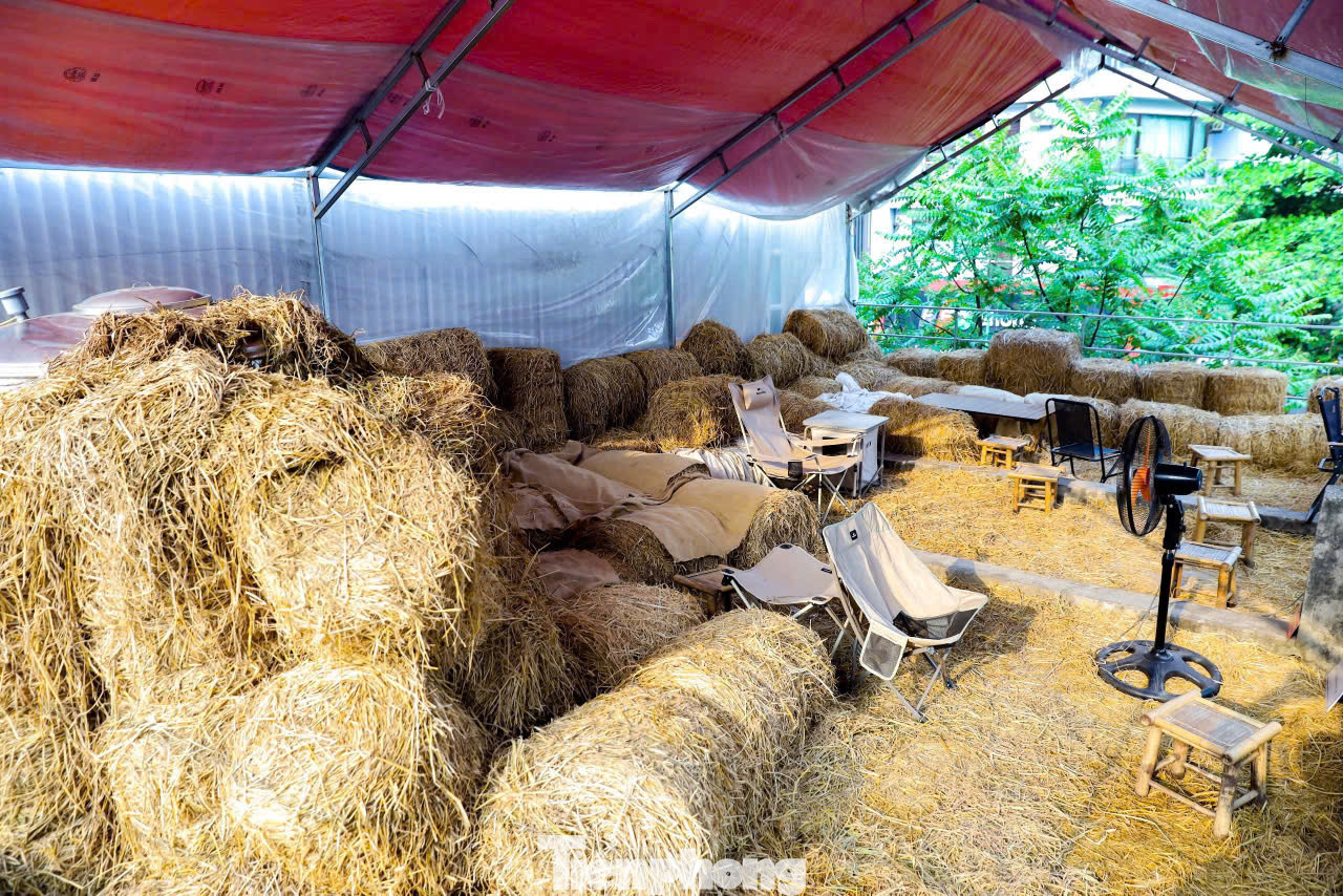 Nằm trên phố Huế sầm uất, một địa điểm có mặt tiền khiêm tốn nhưng bên trong là không gian rộng hơn 300m2. Mô hình cho thuê không gian làm việc ở ngay trung tâm Hà Nội với cách thu tiền theo giờ giống như… quán nét đang thu hút đông giới trẻ tìm đến làm việc, thư giãn.