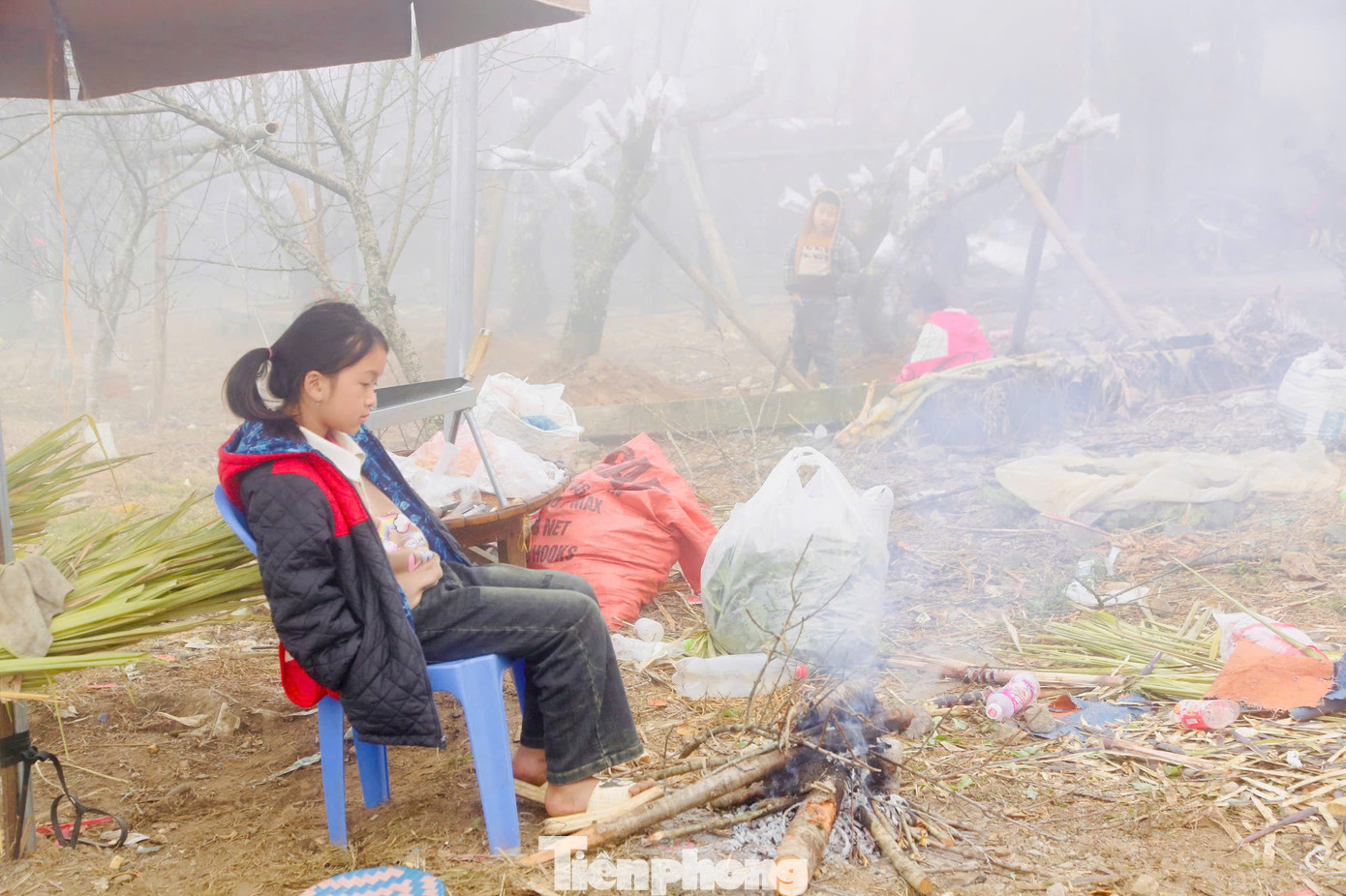 Để xua tan cái lạnh đặc trưng nơi vùng cao sương giá, người dân bán đào Tết đốt lửa sưởi ấm chờ khách. Để xua tan cái lạnh đặc trưng nơi vùng cao sương giá, người dân bán đào Tết đốt lửa sưởi ấm chờ khách.