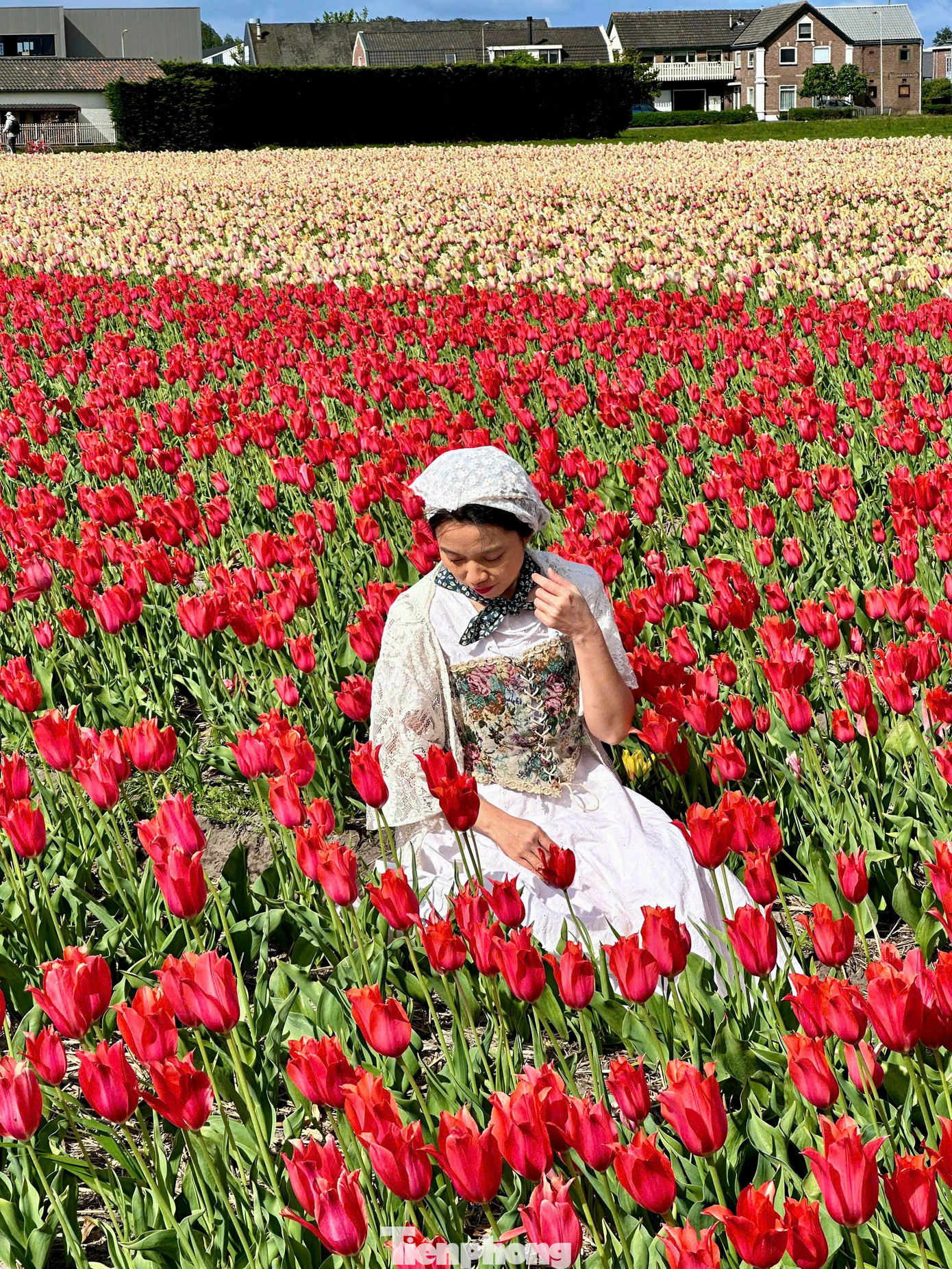 Anh Việt Dũng đến từ Hà Nội chia sẻ: "Mình đã mơ ước đến đây từ lâu và thực sự choáng ngợp trước vẻ đẹp của nó. Cả một biển hoa rực rỡ, không khí trong lành, chụp ảnh góc nào cũng đẹp mê hồn. Đến đây rồi mới thấy Hà Lan xứng danh xứ sở hoa tulip."