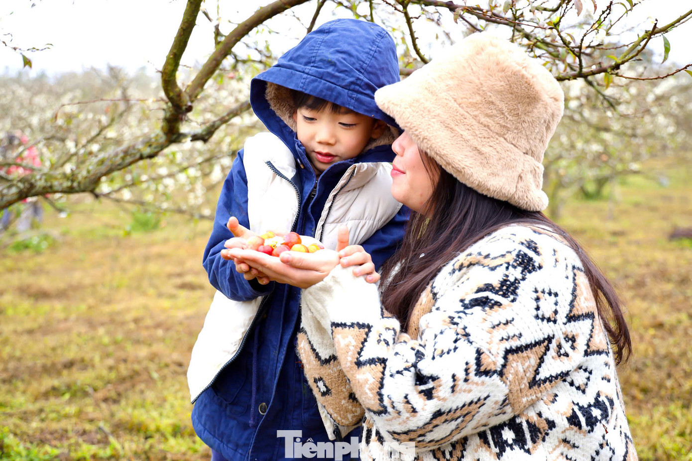 Chị Thu Hà (ở quận Đống Đa, Hà Nội) cùng gia đình và bạn bè vượt quãng đường gần 200km lên thung lũng mận Bảo Bảo cho biết: "Năm nào mình cũng lựa chọn mùa hoa mận nở đẹp nhất để lên đường, vì hoa mận chỉ nở rộ trong thời gian ngắn nên vẫn cố gắng sắp xếp công việc để đi du xuân, đắm mình trong những cánh rừng mận trắng muốt ngắm hoa mận bung nở và thưởng thức những trái mận đầu mùa là những trải nghiệm khó quên".