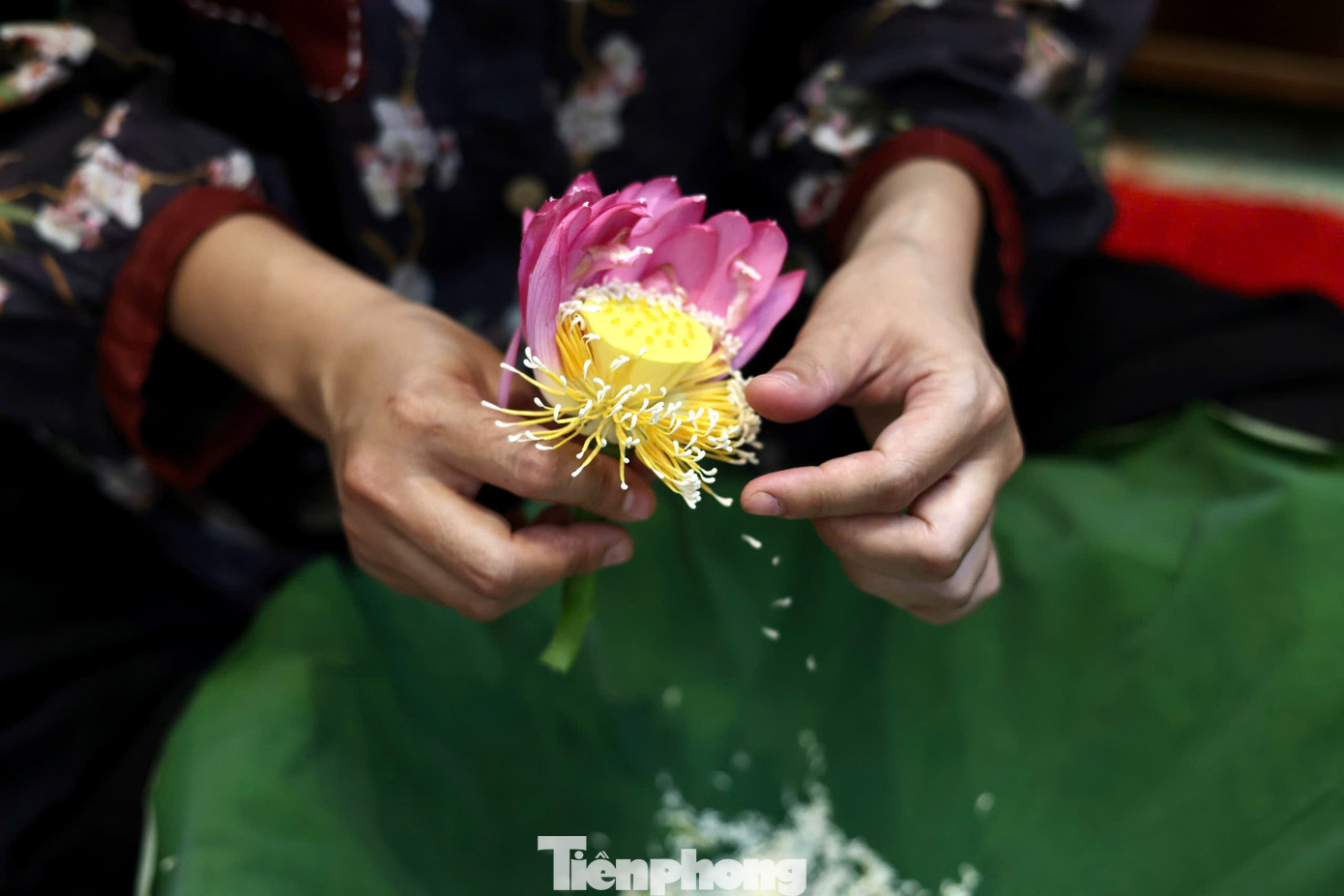 Ướp trà sen là nghề đòi hỏi sự tỉ mỉ, tinh tế và tao nhã. Trà sen Tây Hồ ướp tưởng như đơn giản nhưng để có được những bông trà đượm hương hoa sen mà vẫn giữ vị trà thuần khiết đòi hỏi sự kỳ công, tinh tế. Chính sự công phu ấy đã biến loại trà này thành một trong những thức quà đắt đỏ và quý giá bậc nhất của Hà thành. Ướp trà sen là nghề đòi hỏi sự tỉ mỉ, tinh tế và tao nhã. Trà sen Tây Hồ ướp tưởng như đơn giản nhưng để có được những bông trà đượm hương hoa sen mà vẫn giữ vị trà thuần khiết đòi hỏi sự kỳ công, tinh tế. Chính sự công phu ấy đã biến loại trà này thành một trong những thức quà đắt đỏ và quý giá bậc nhất của Hà thành.