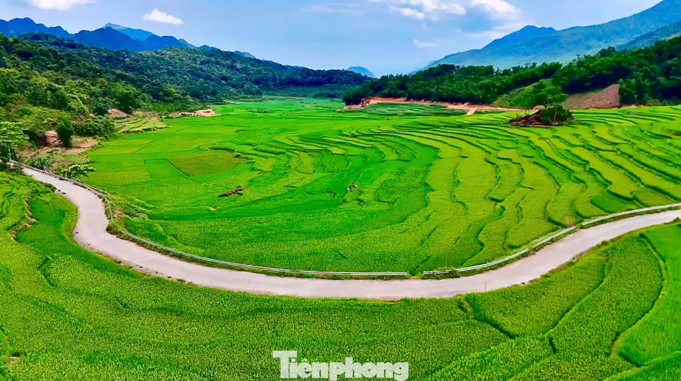 Đến Pù Luông vào những ngày đầu tháng 5, du khách sẽ có dịp ngắm những thửa ruộng bậc thang xanh mướt của lúa non uốn lượn quanh sườn núi. Cảnh sắc hùng vĩ, nên thơ khiến nơi đây trở thành điểm đến lý tưởng cho du khách muốn tìm về với thiên nhiên nguyên sơ và tận hưởng nhịp sống chậm rãi, an lành.