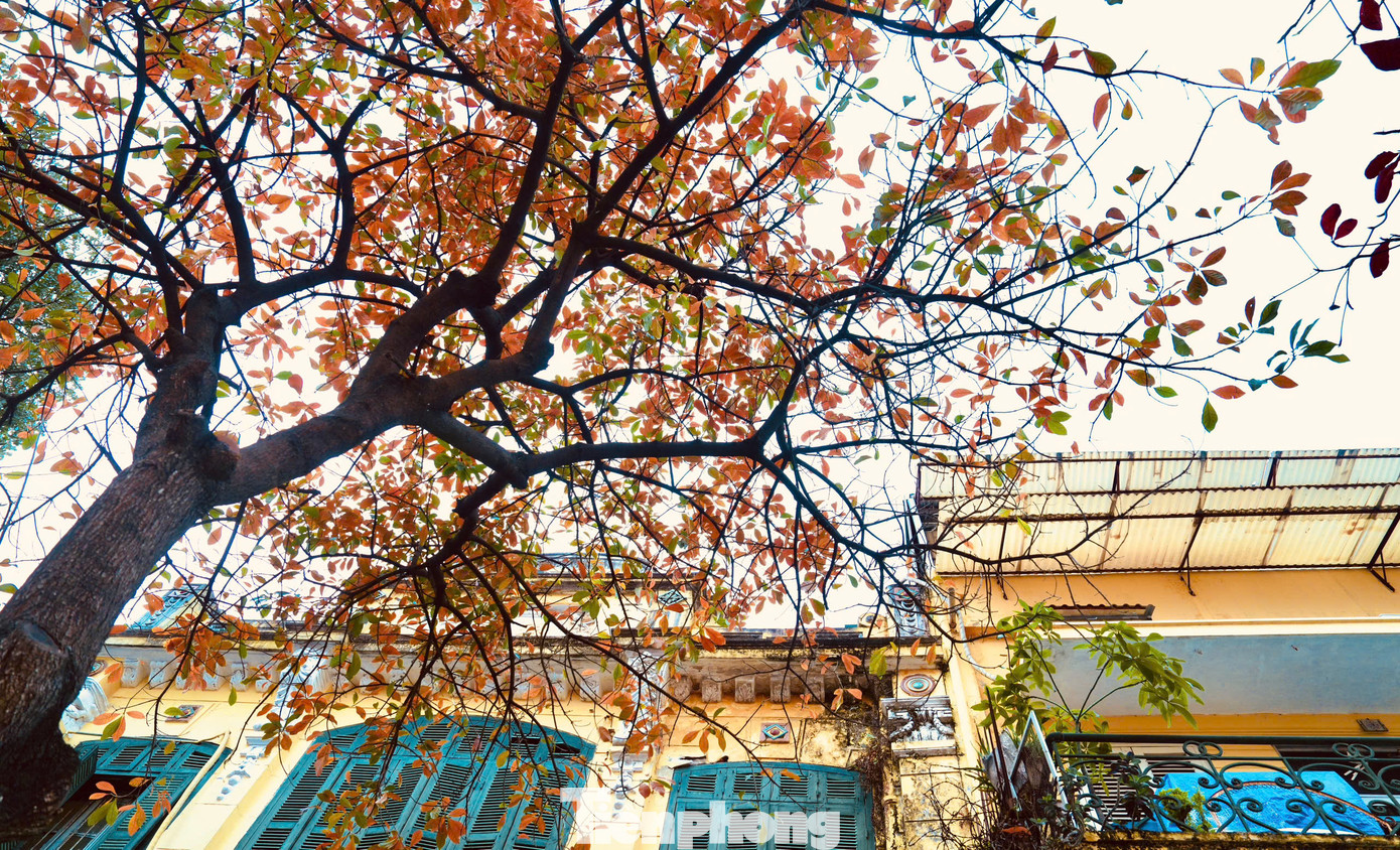 Tháng 3, cảnh vật tại Hà Nội bỗng trở nên lung linh đầy màu sắc. Tháng 3, cảnh vật tại Hà Nội bỗng trở nên lung linh đầy màu sắc.